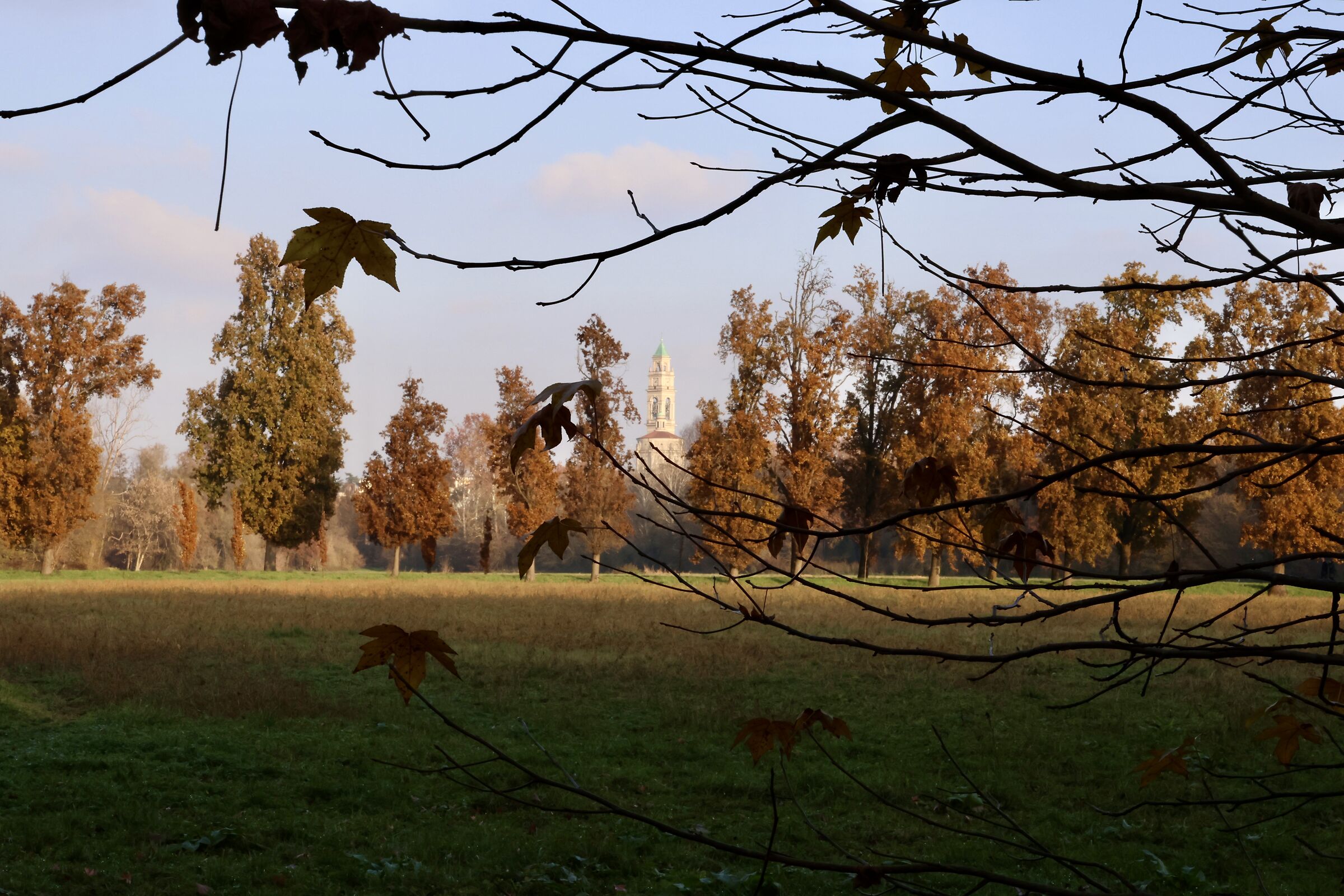 Monza Park