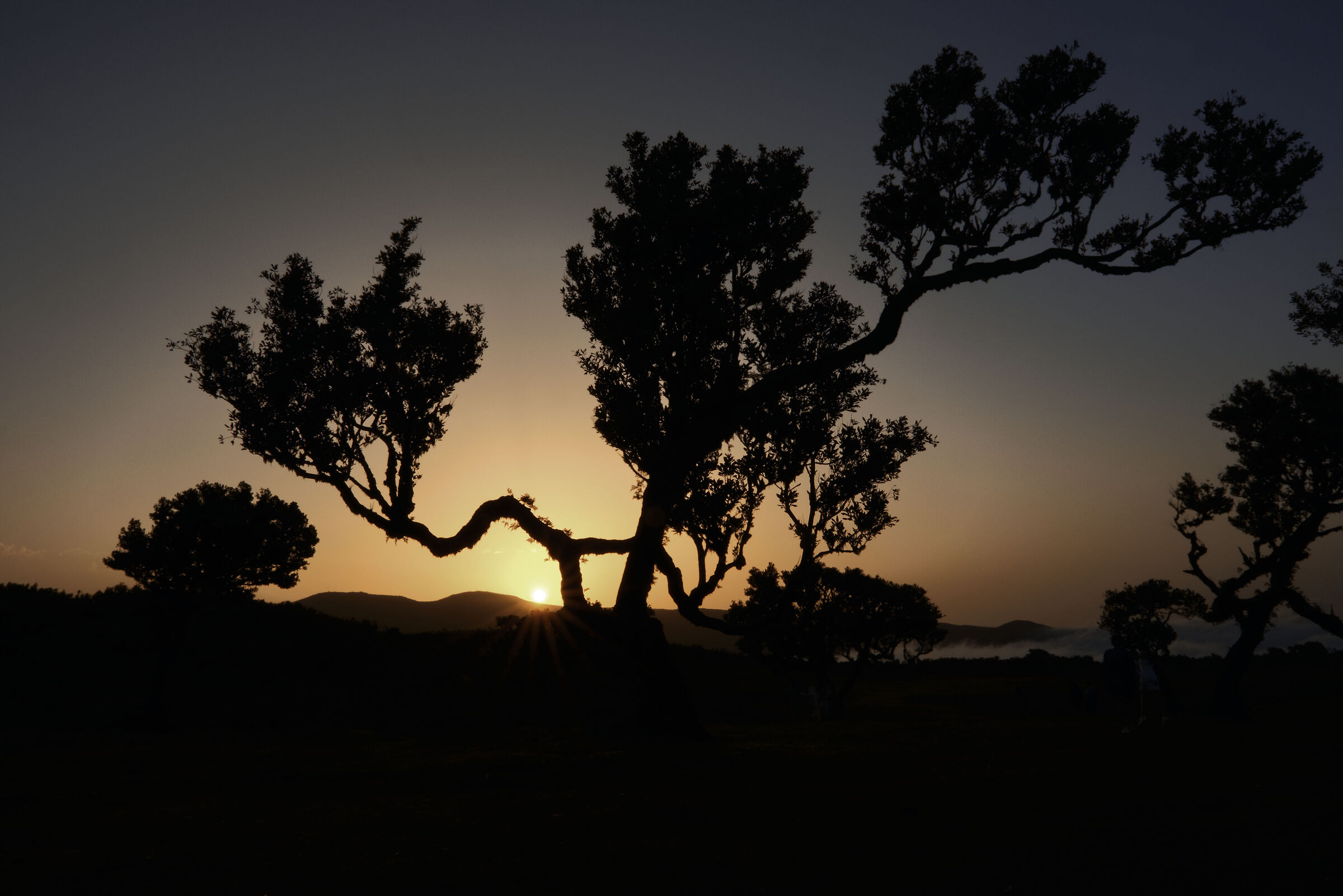 Madeira- Fanal