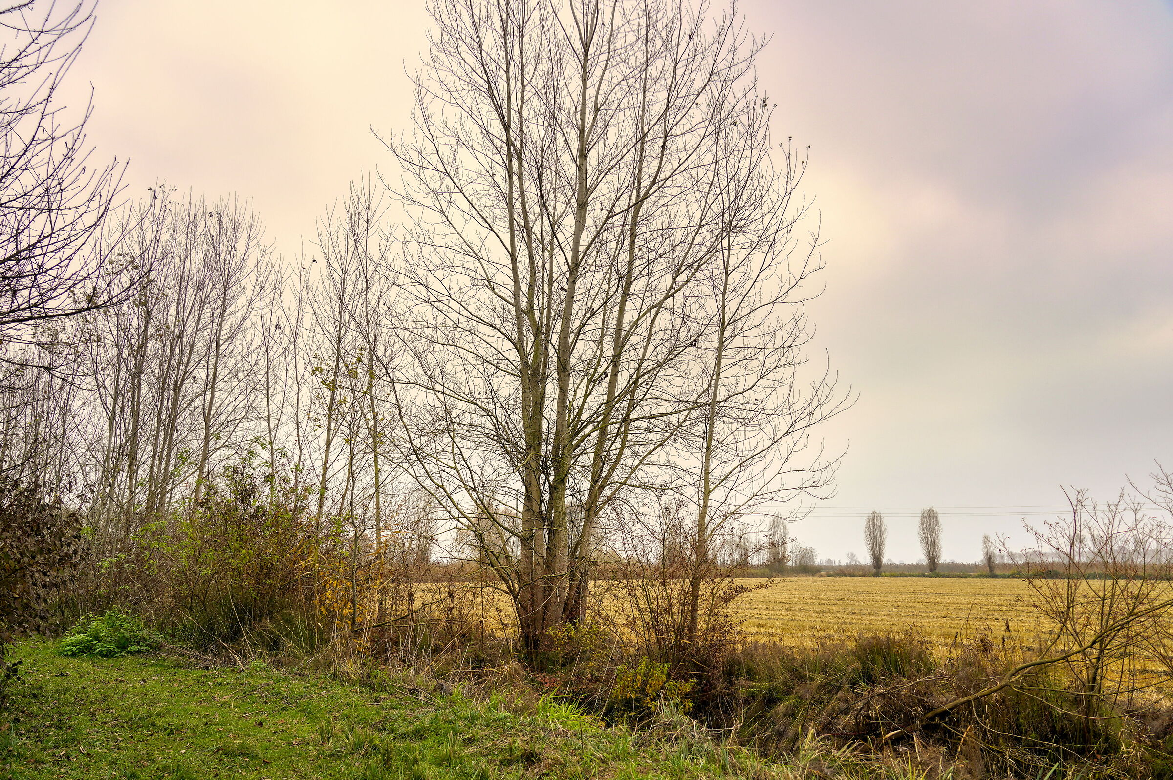 Autumn in the plains
