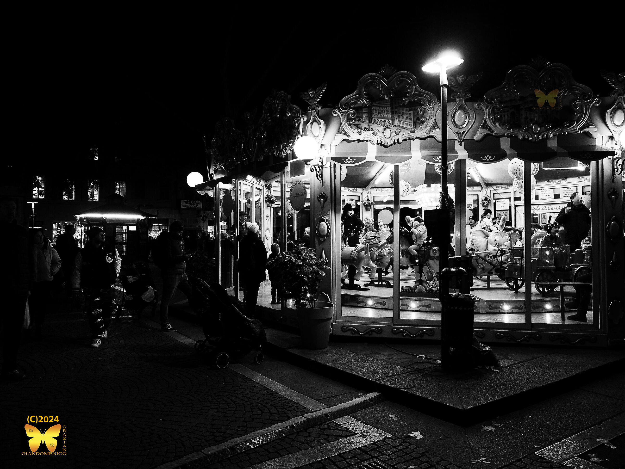 Untitled Photo