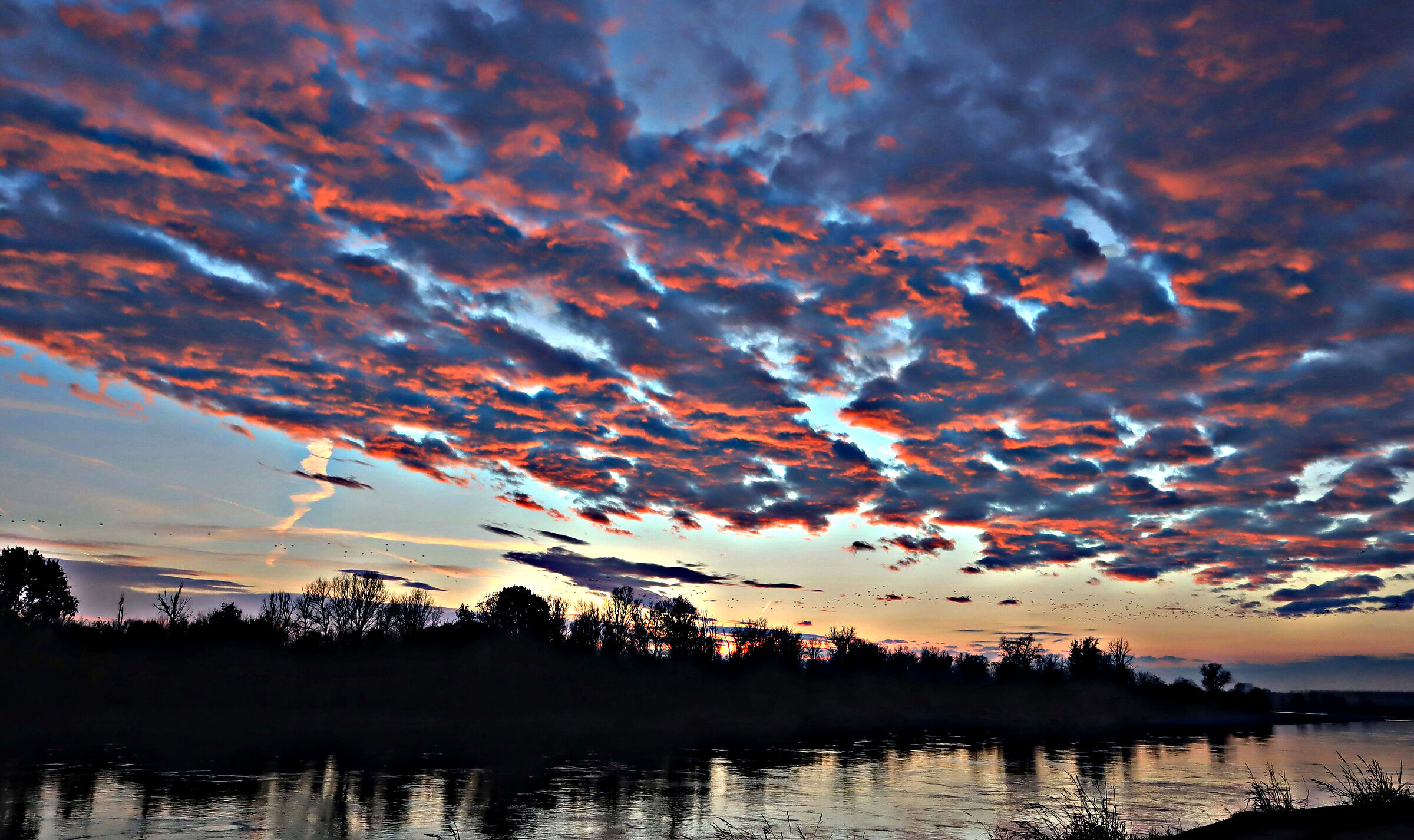Winter sunset