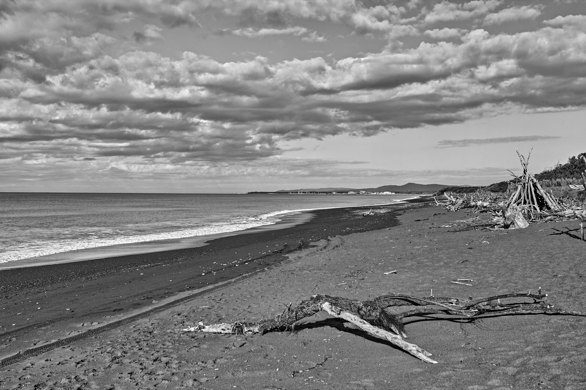 Marina di Bibbona Nov 24