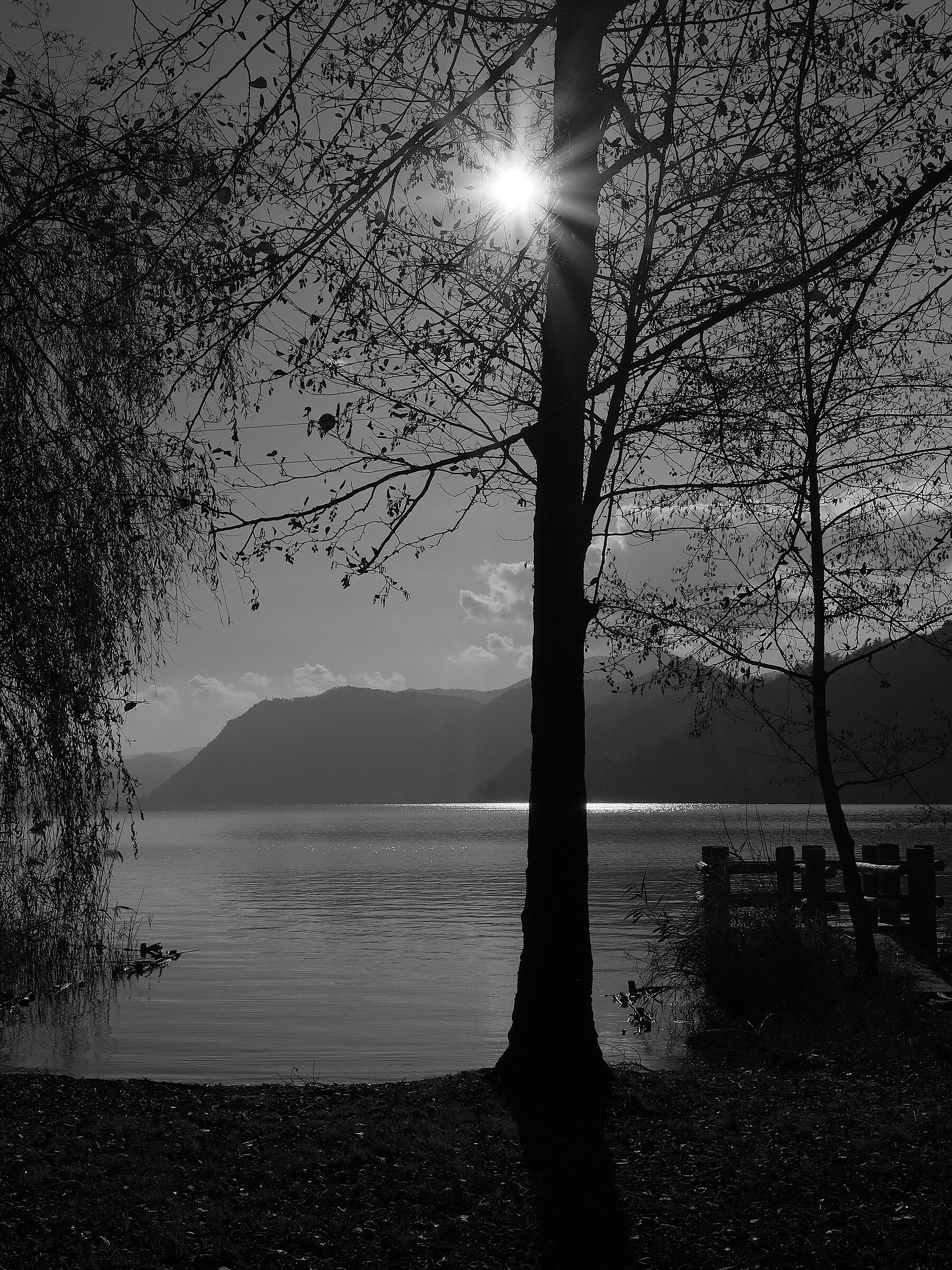 lago5