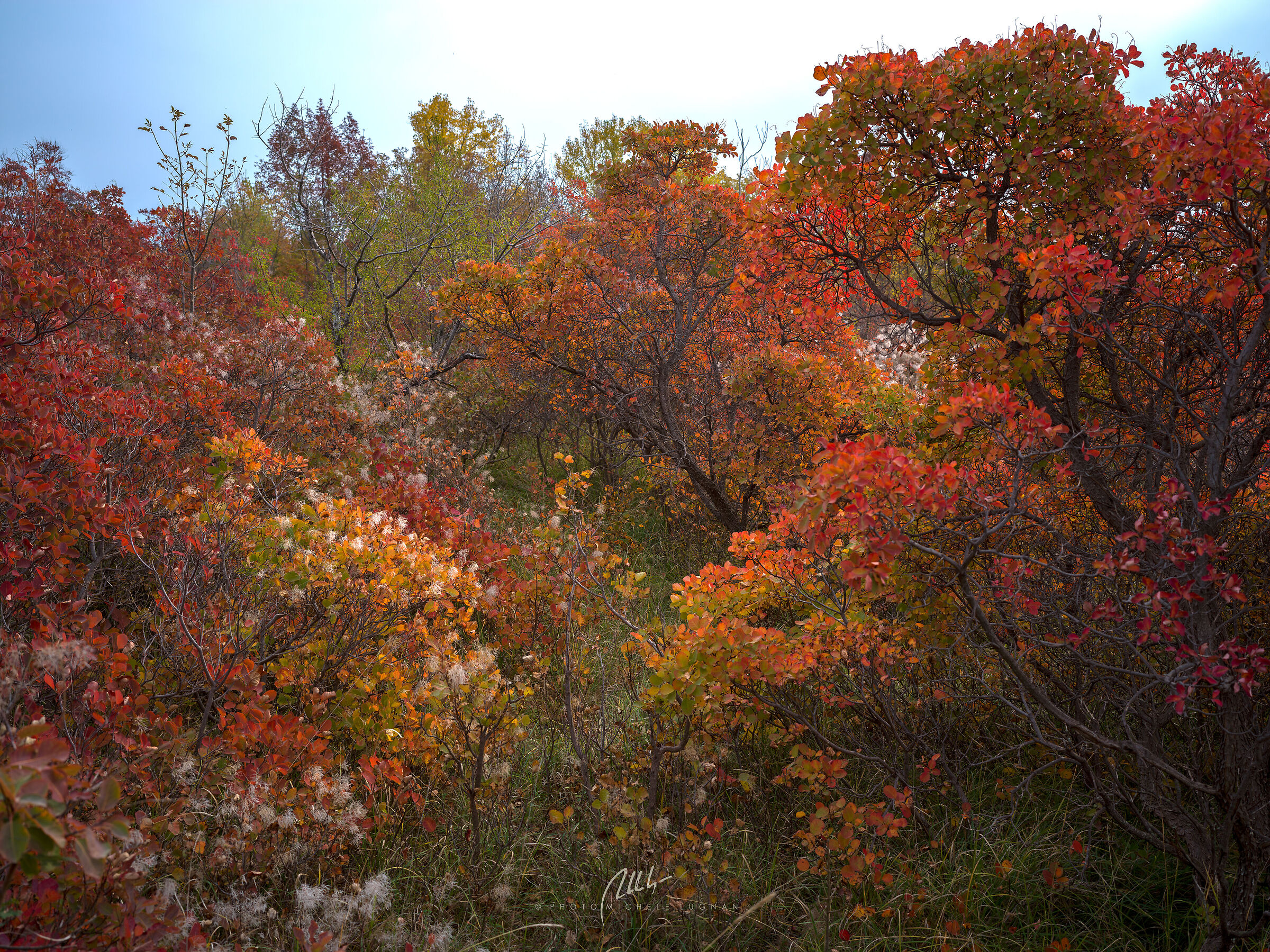 The last magic of the Karst