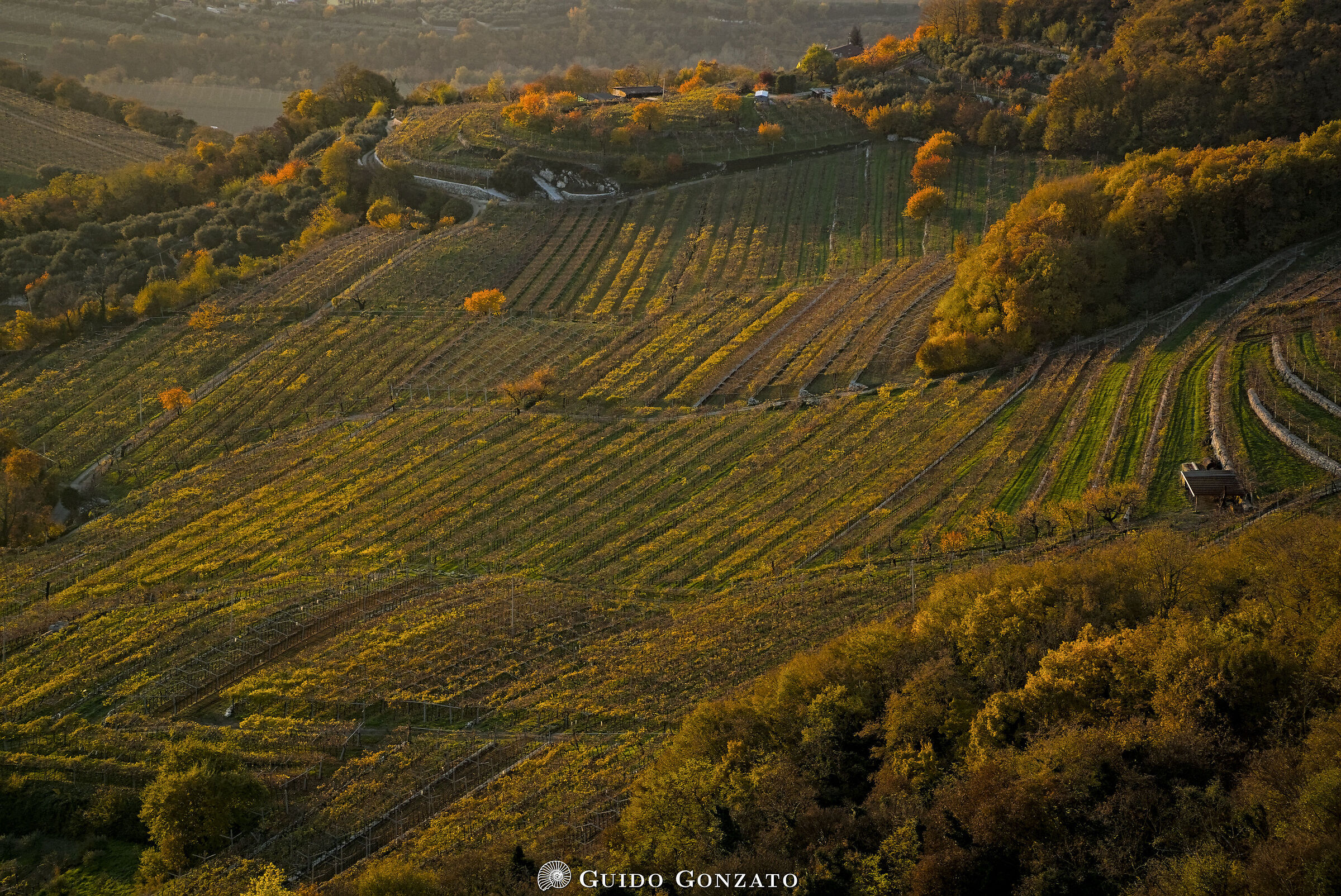 Sunset in Siresol (Valpolicella)