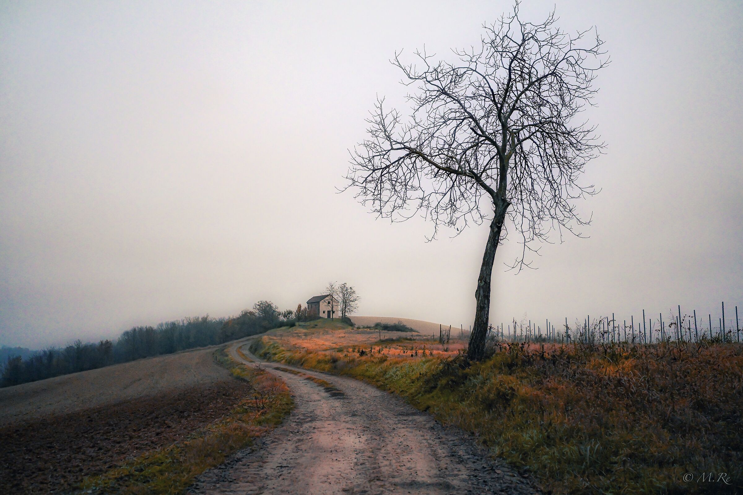 Untitled Photo