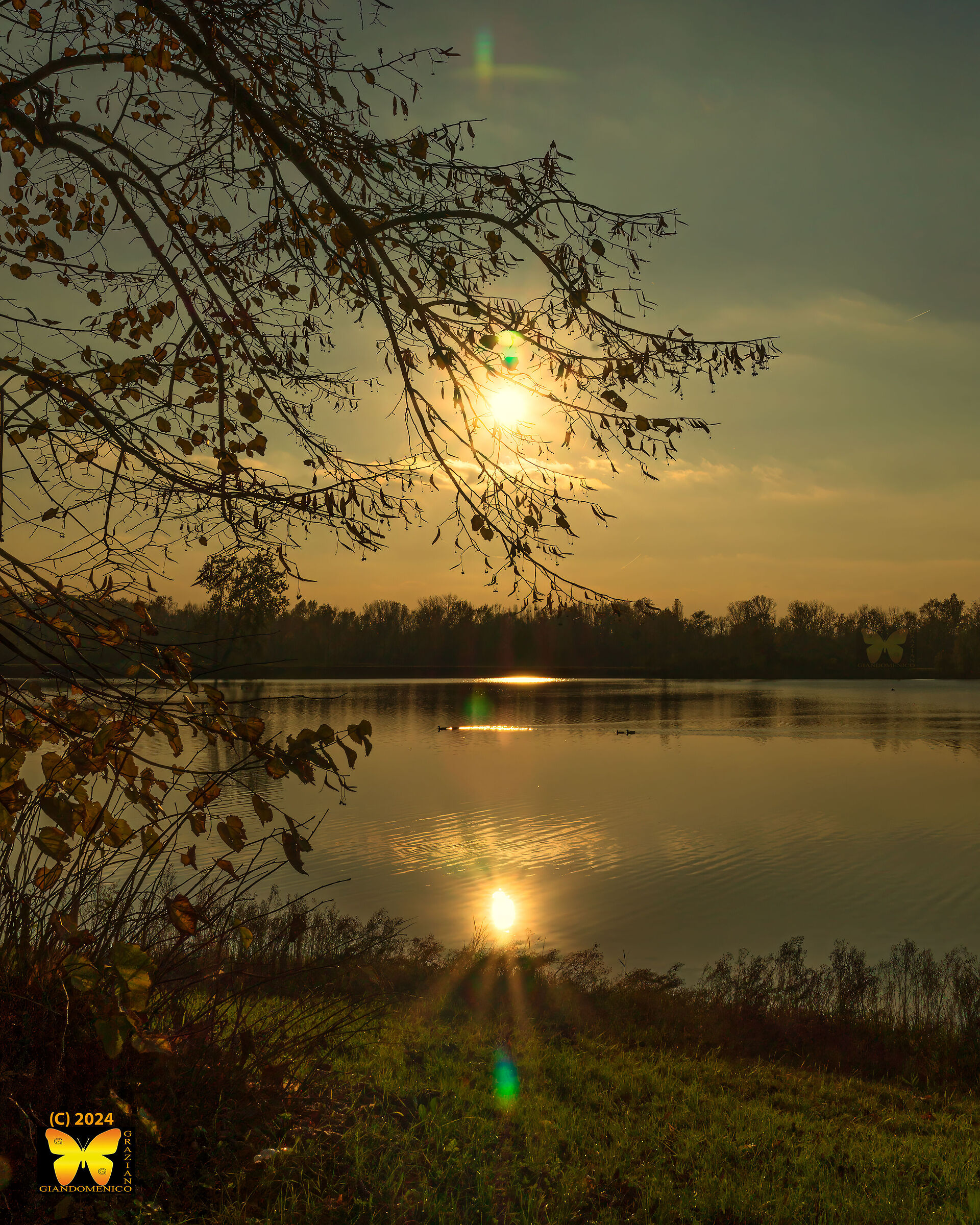 Untitled Photo