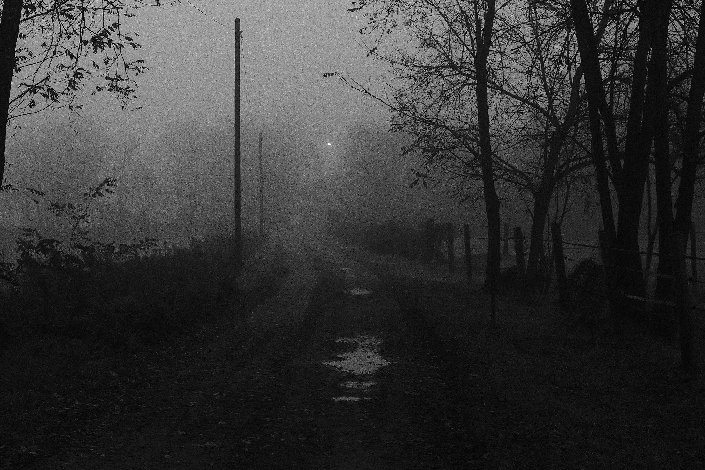 All'alba nella nebbia