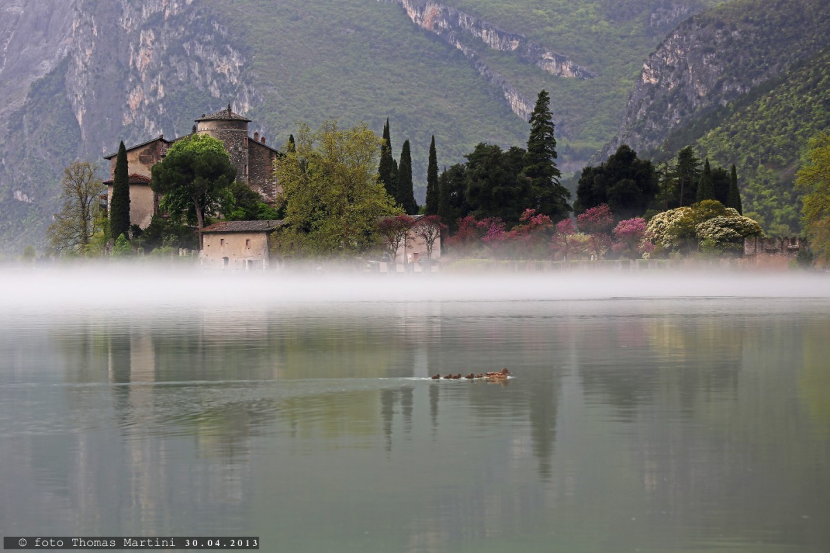 Castel Toblino with haze and ducks