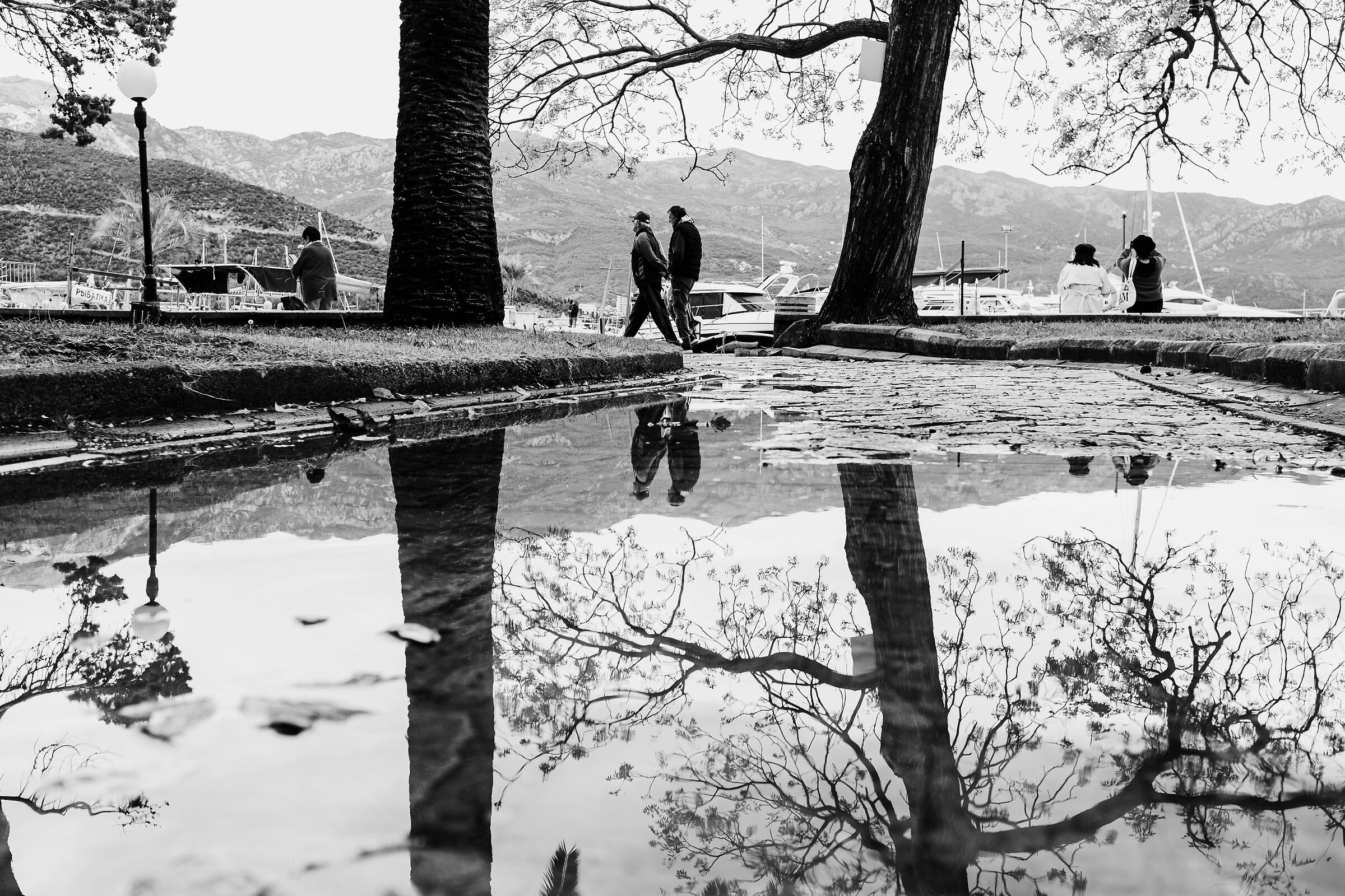 Reflection