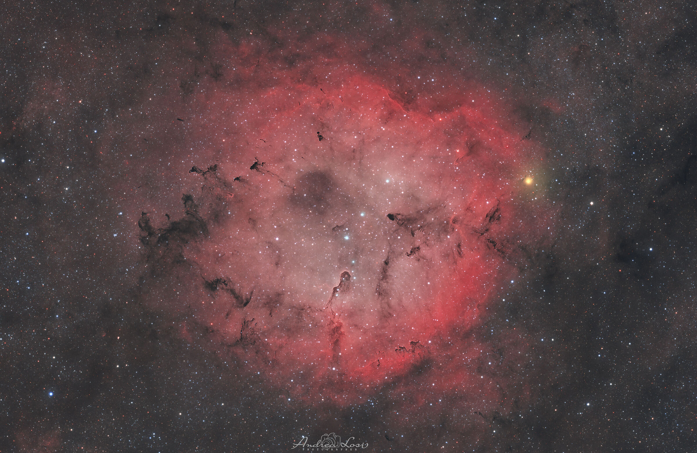 The emission nebula IC 1396