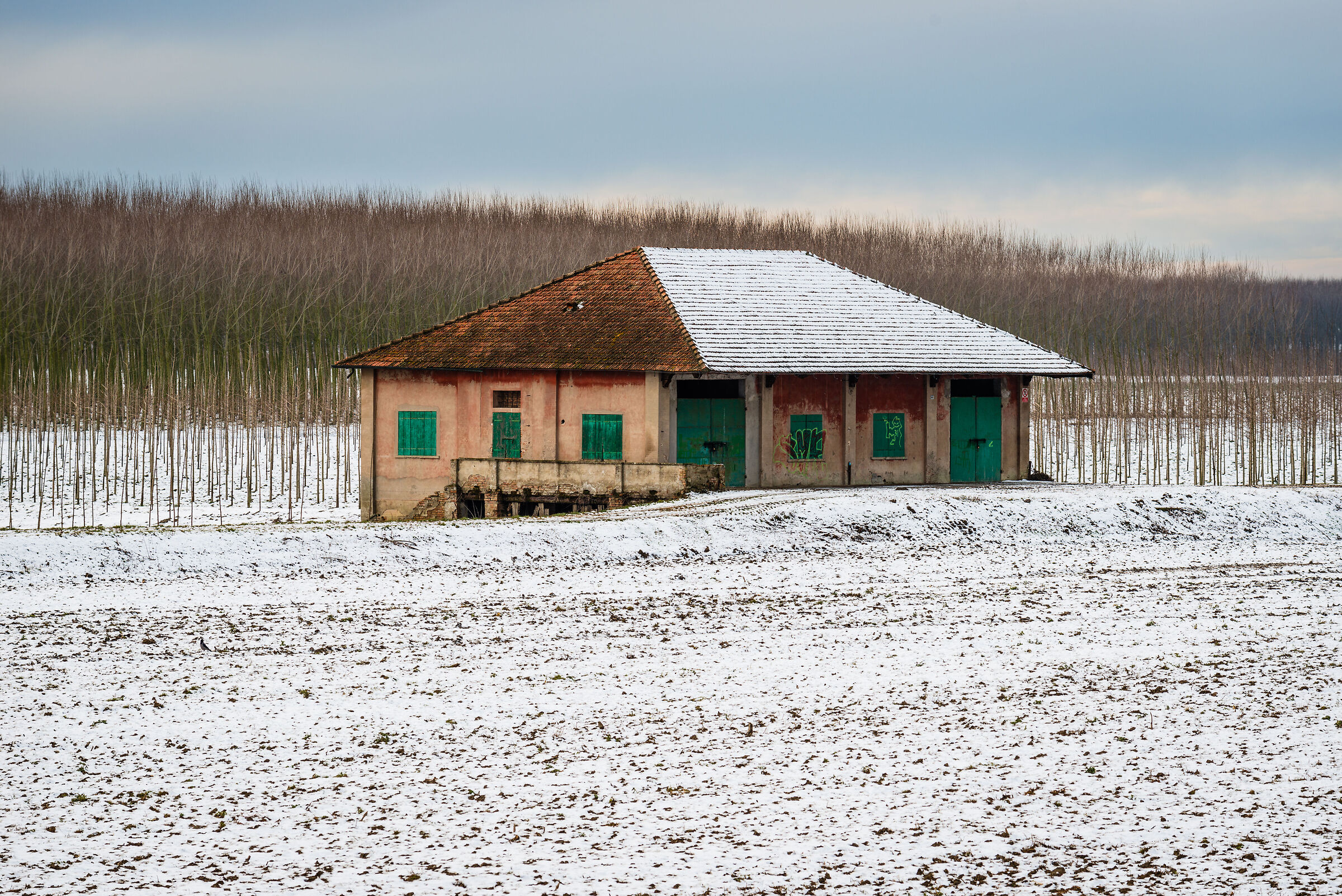 Snow in the floodplain