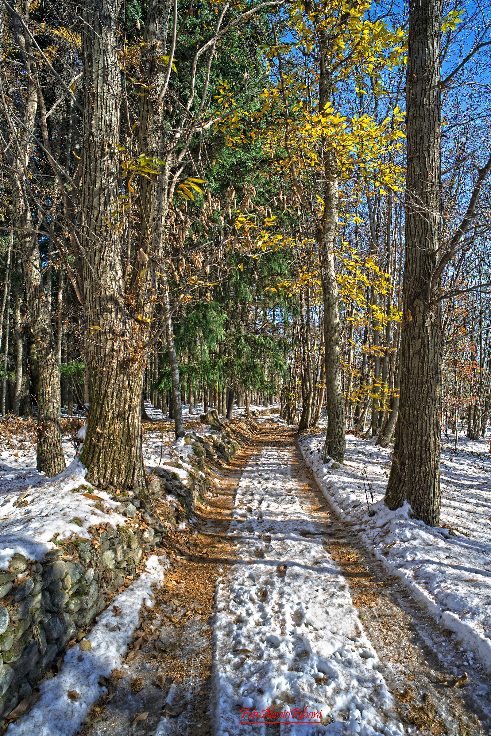 l'inverno e i suoi colori
