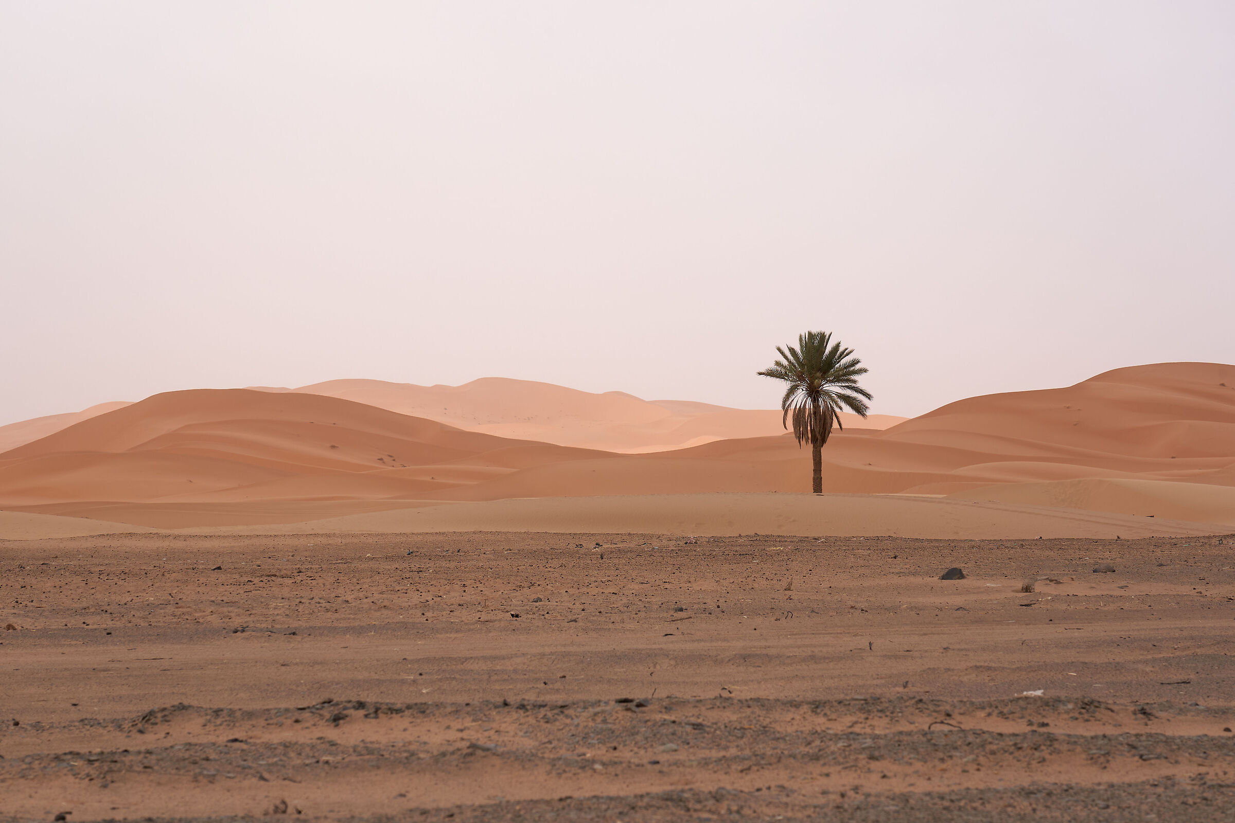 Il deserto dell' Erg Chebbi nei pressi di Erfoud