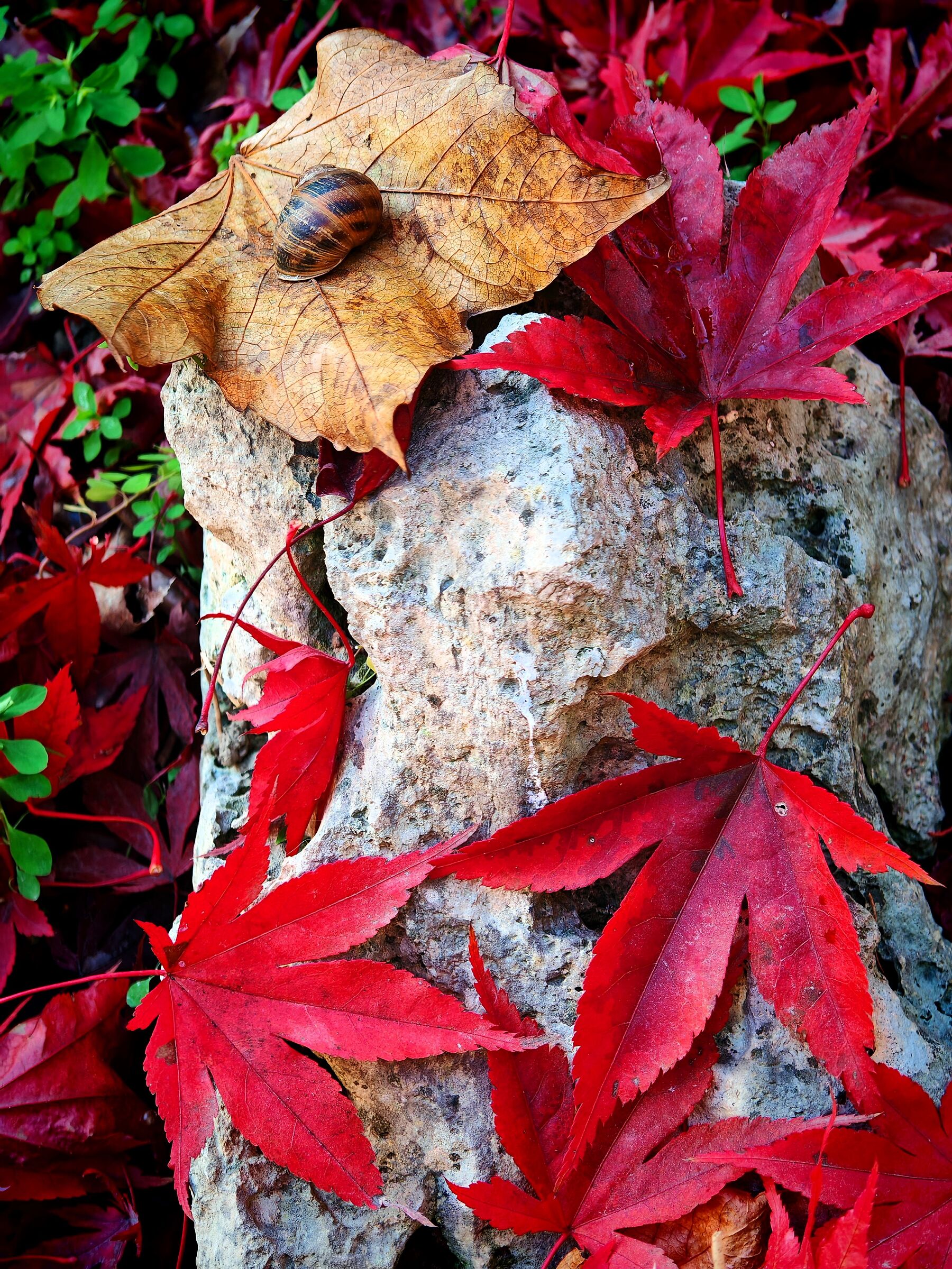 When you wake up it will be colorful