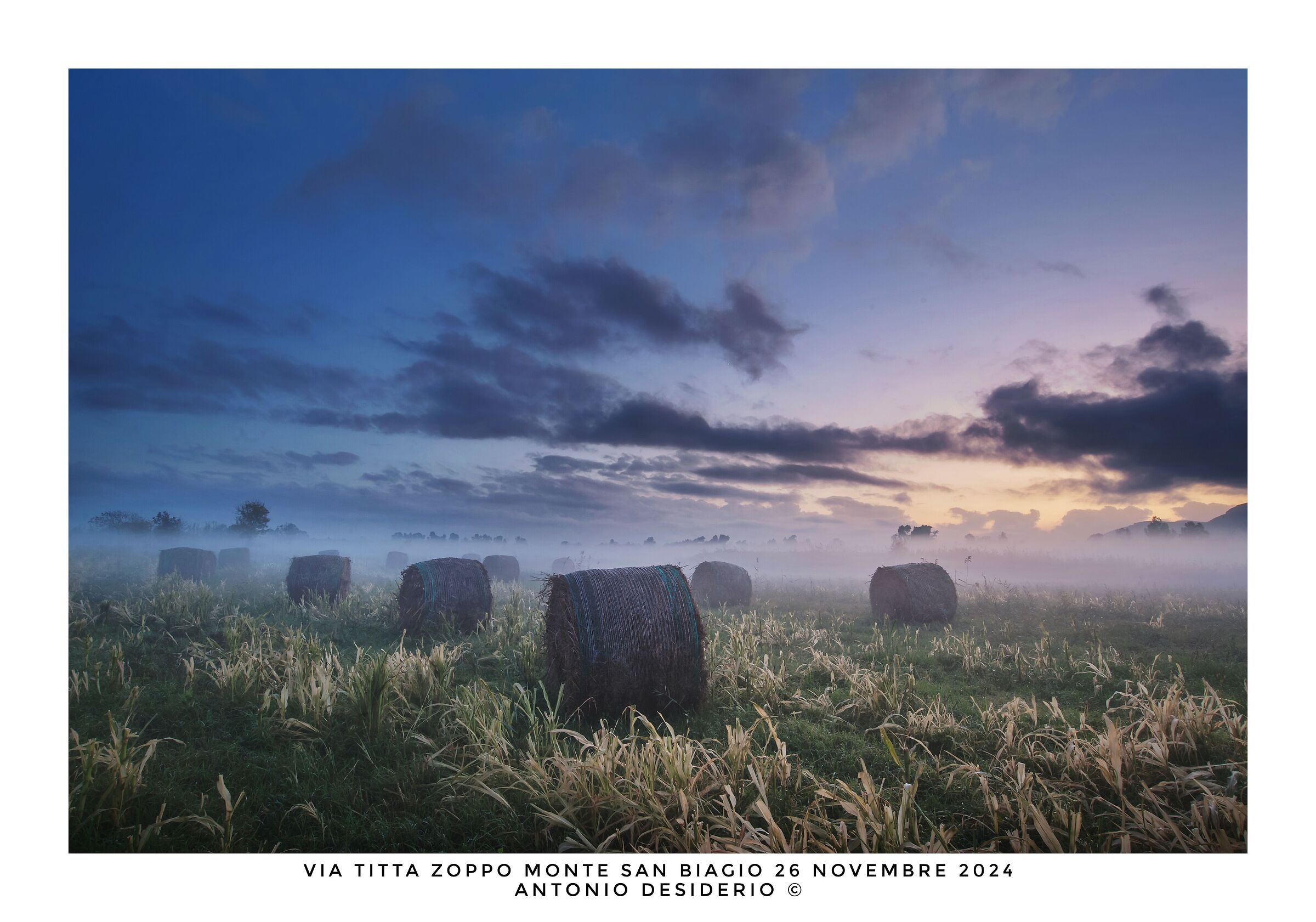 Round bales in the fog