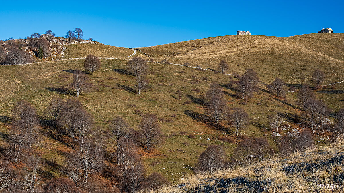 Alpine huts in Lessinia