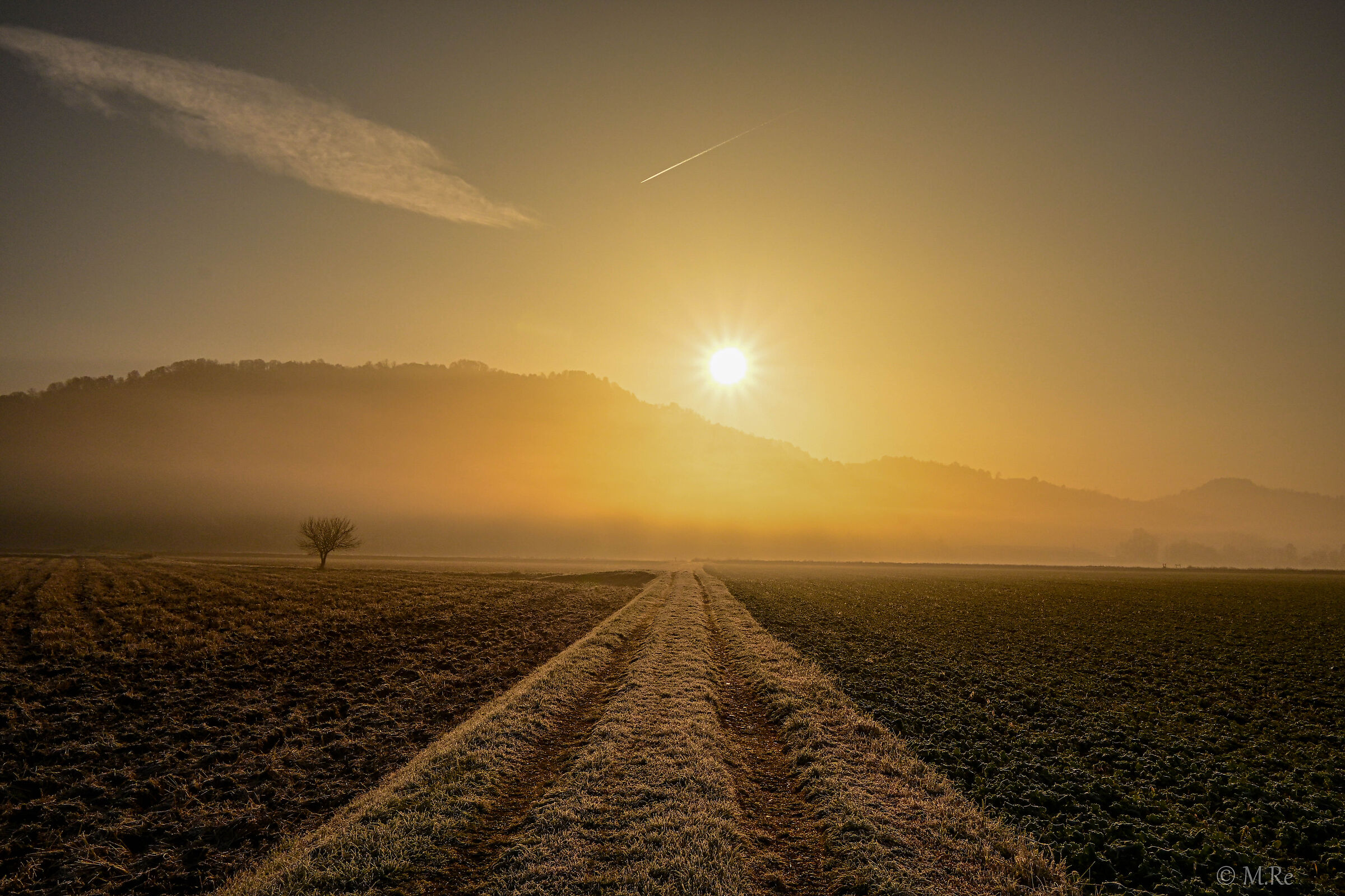 Untitled Photo