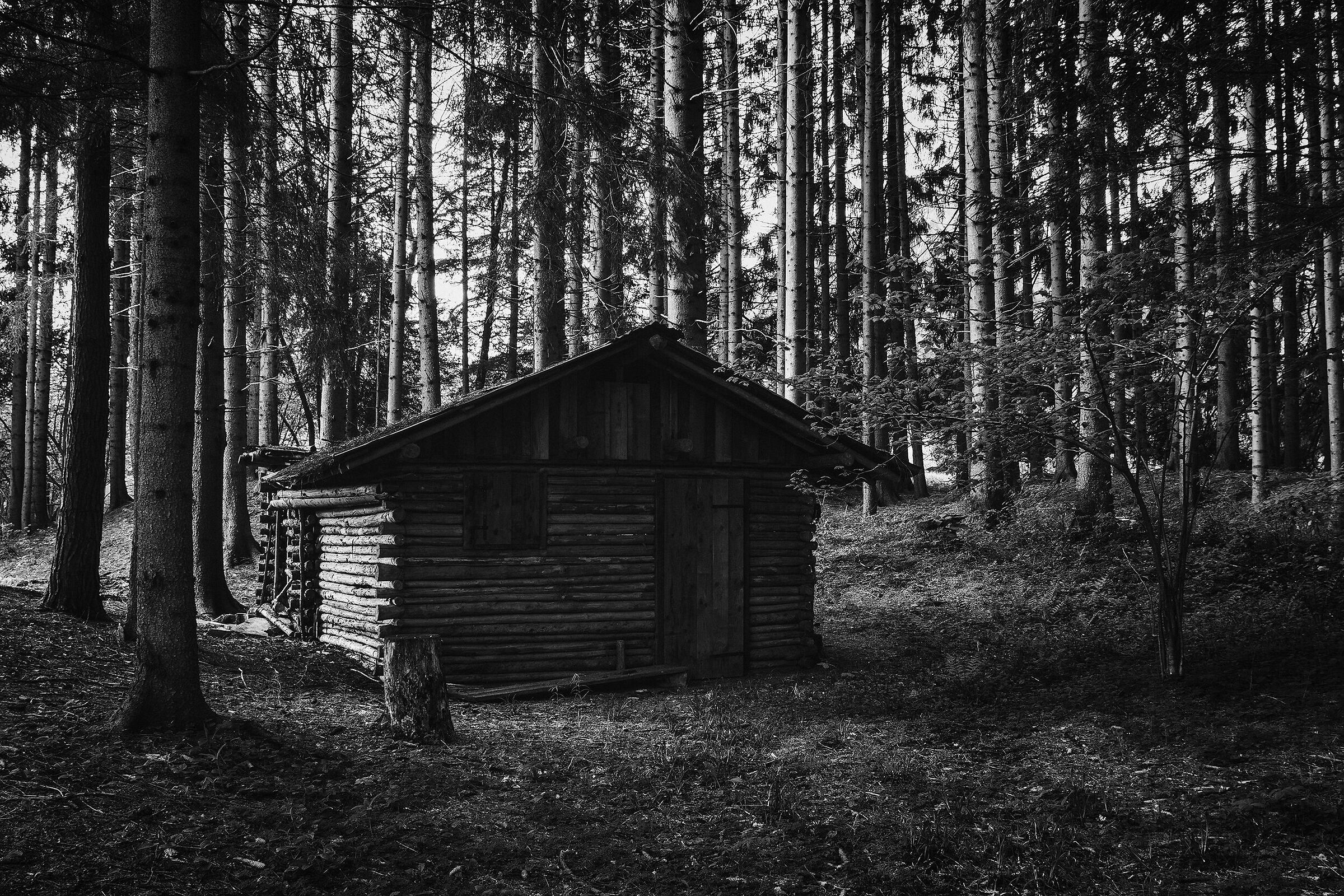 The hut