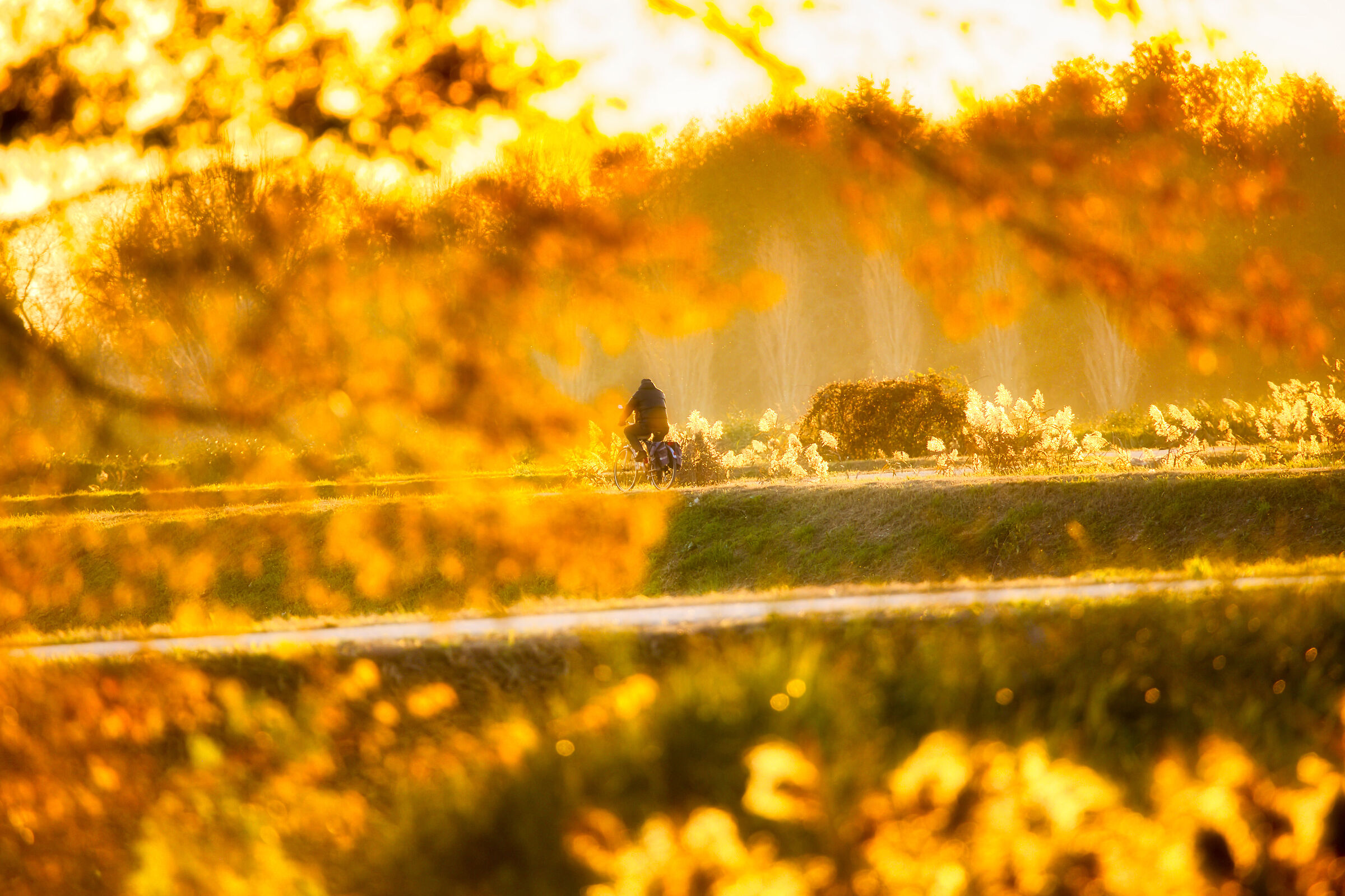 Altino Cycle Path