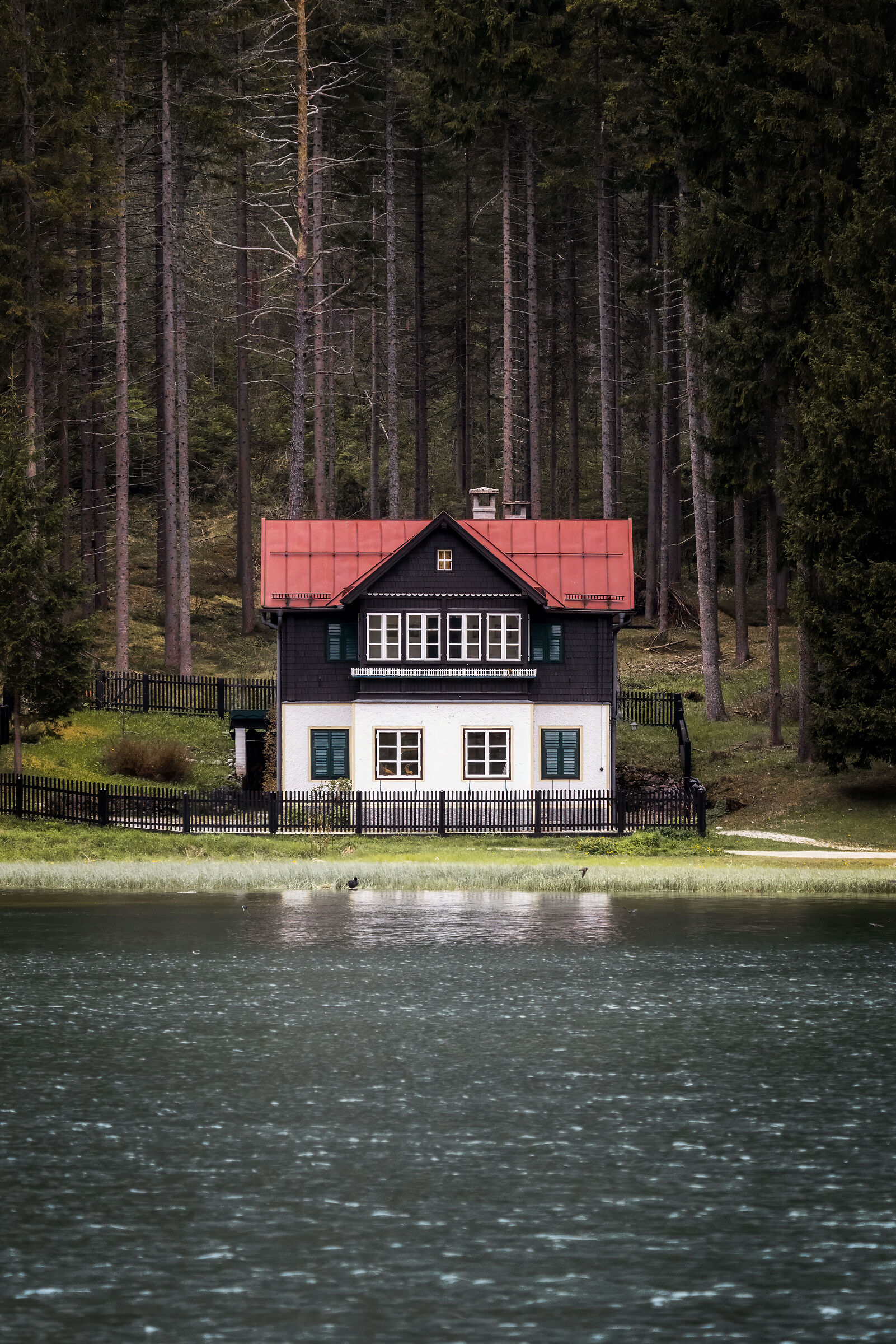 Untitled Photo
