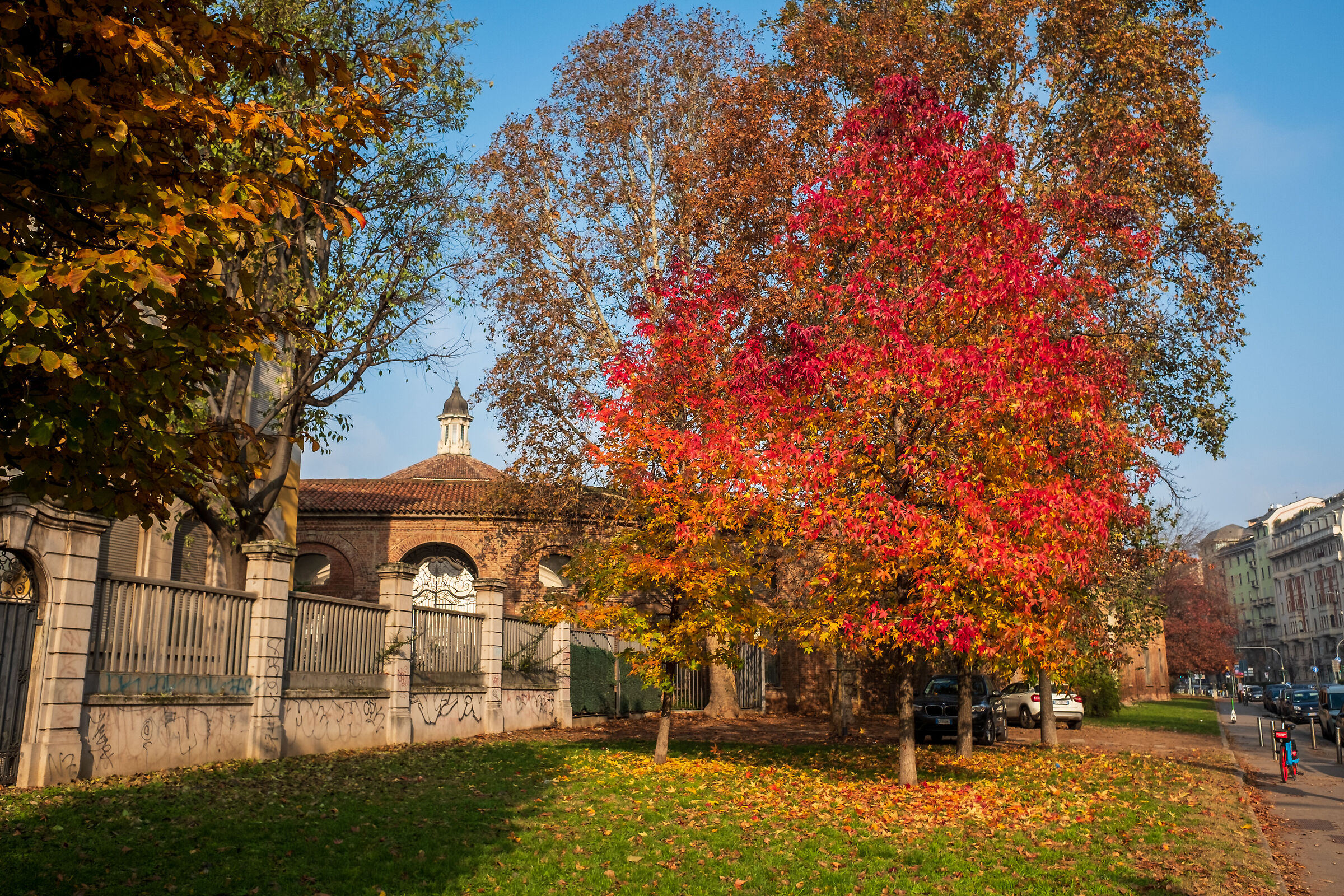 Autumn Milanese views