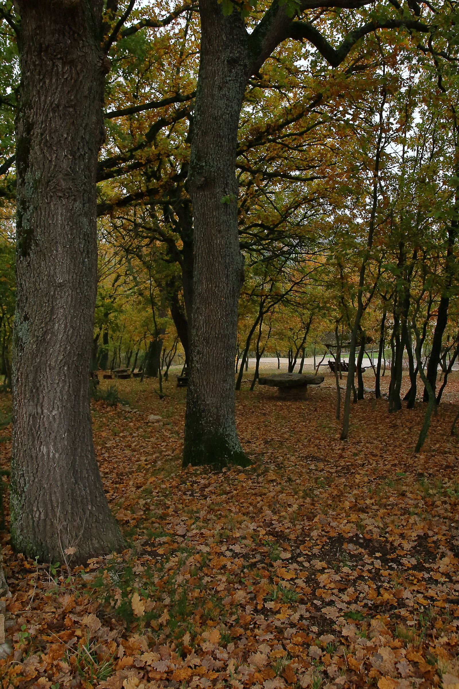 Autumn
