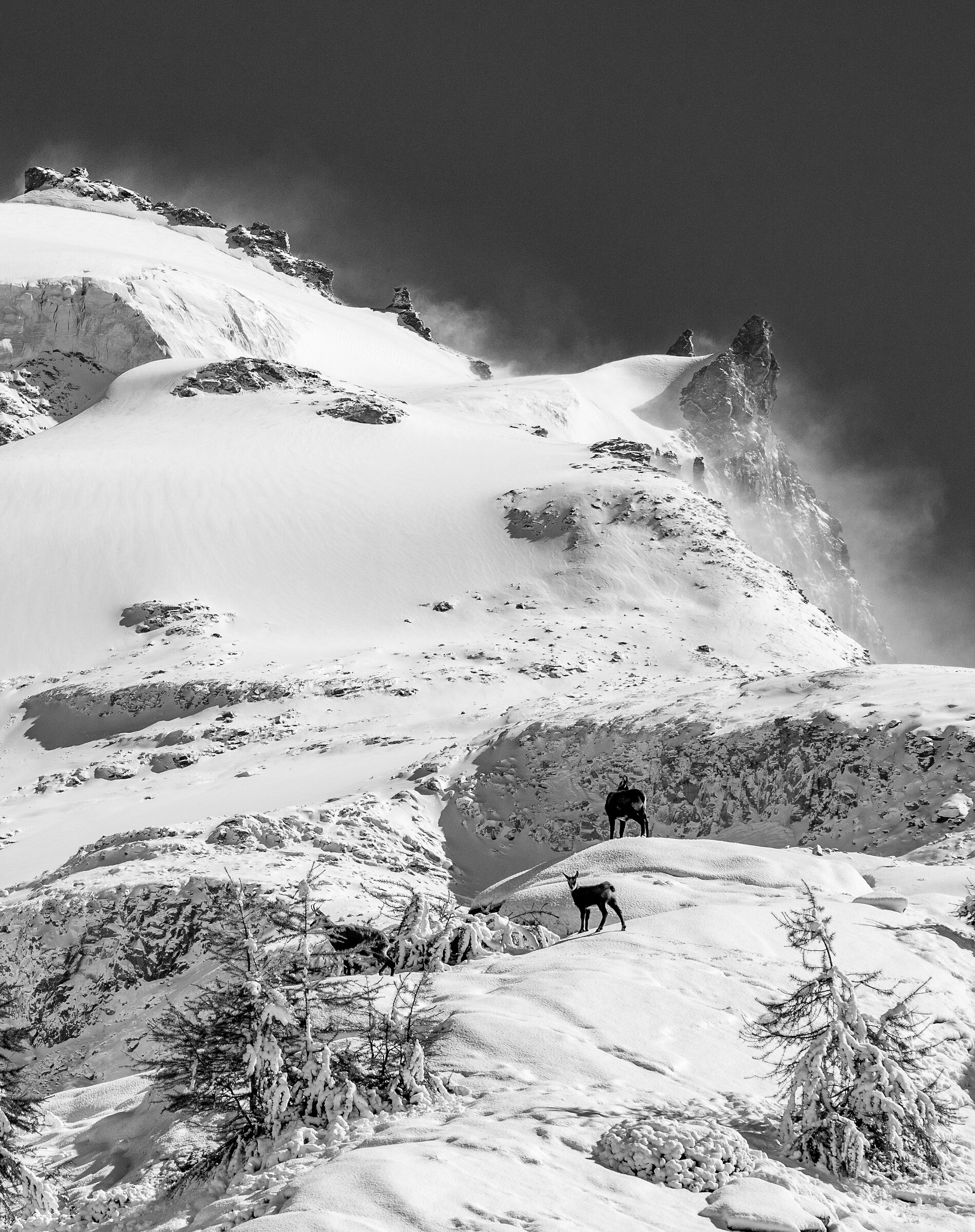 vento in quota sul Gran Paradiso