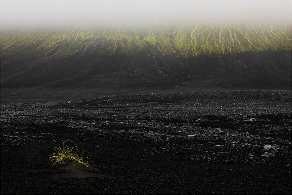 Everyone is an Alien Somewhere