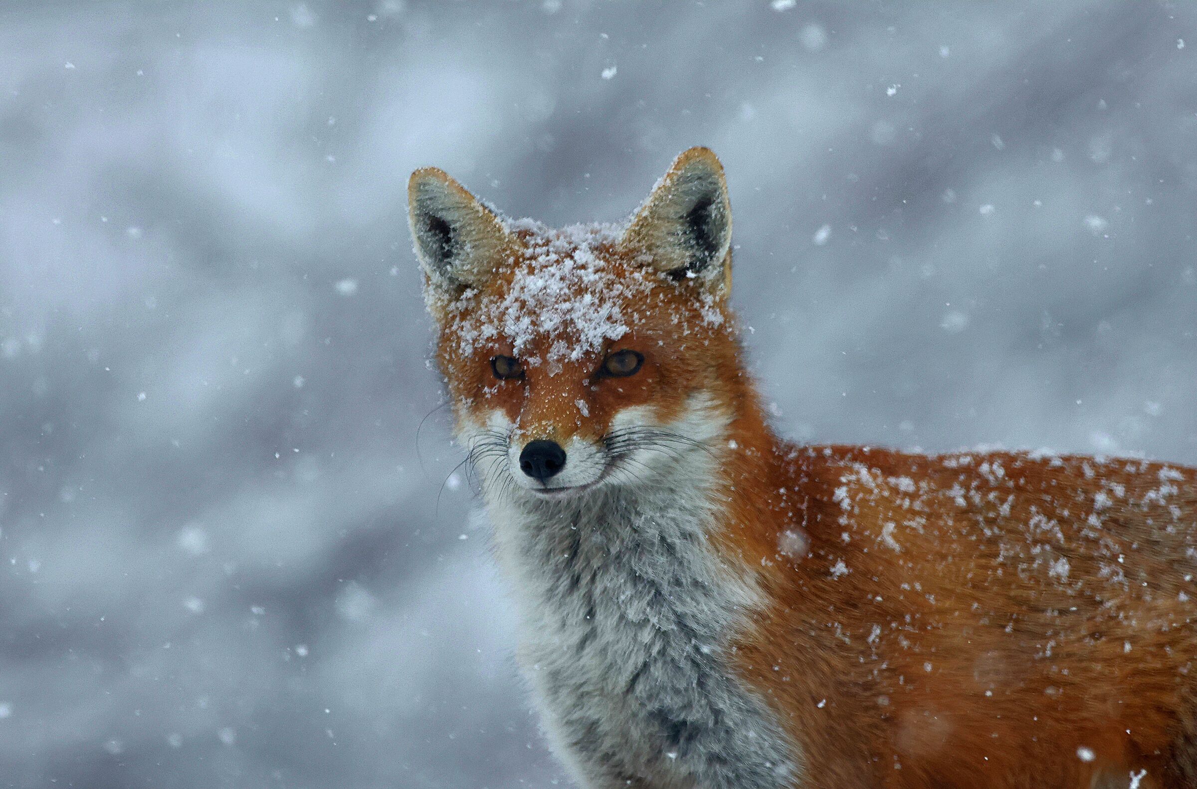 A little bit of sunshine after the storm