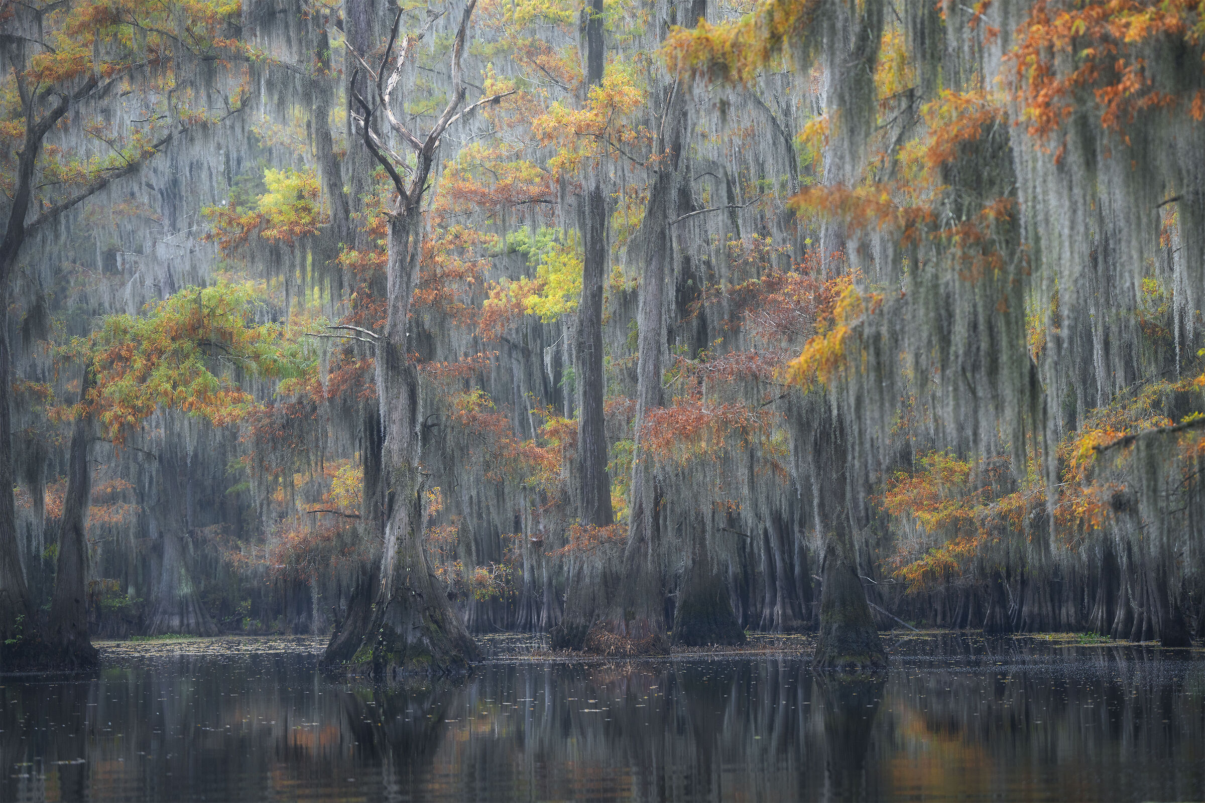 Lake Caddo