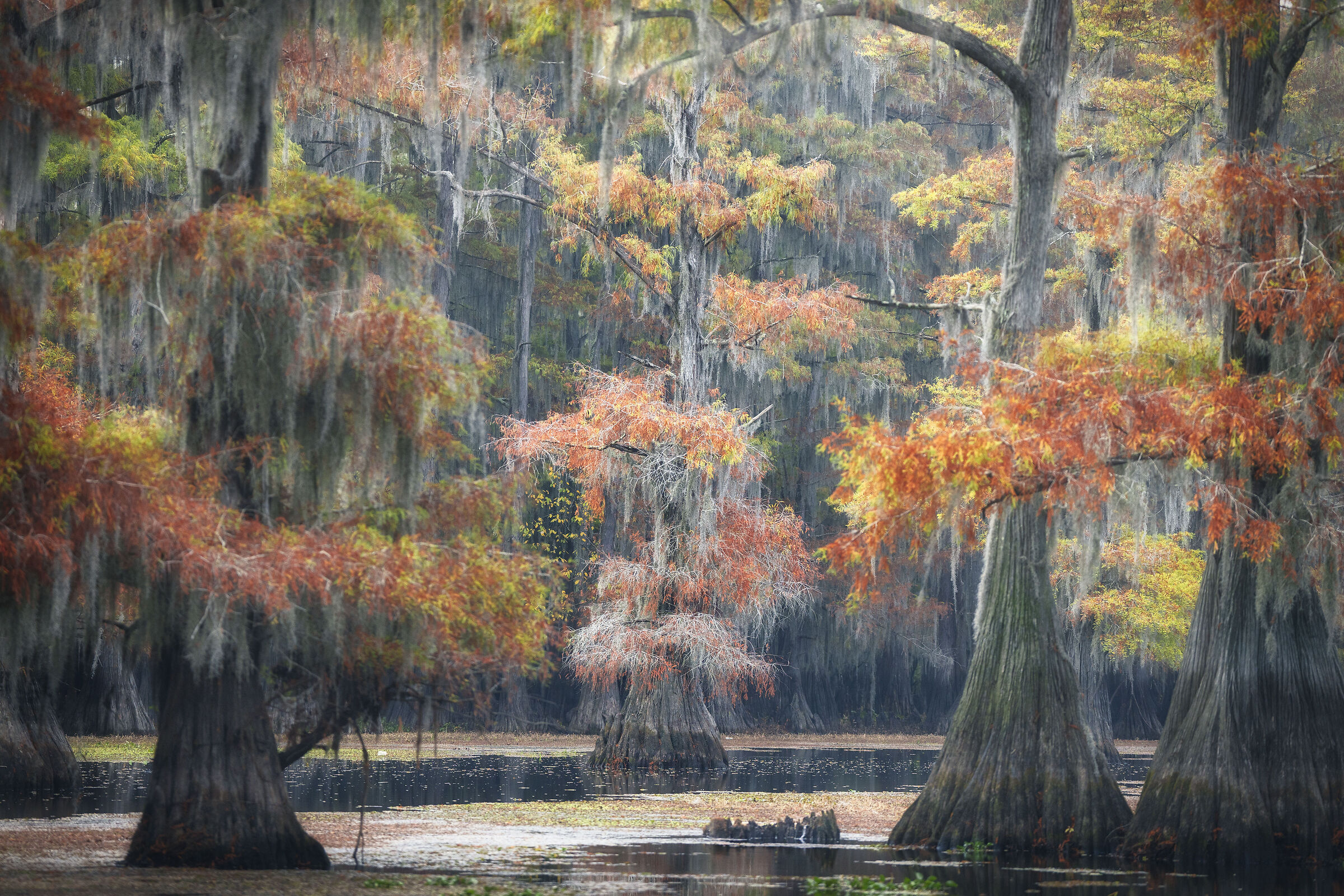Lake Caddo