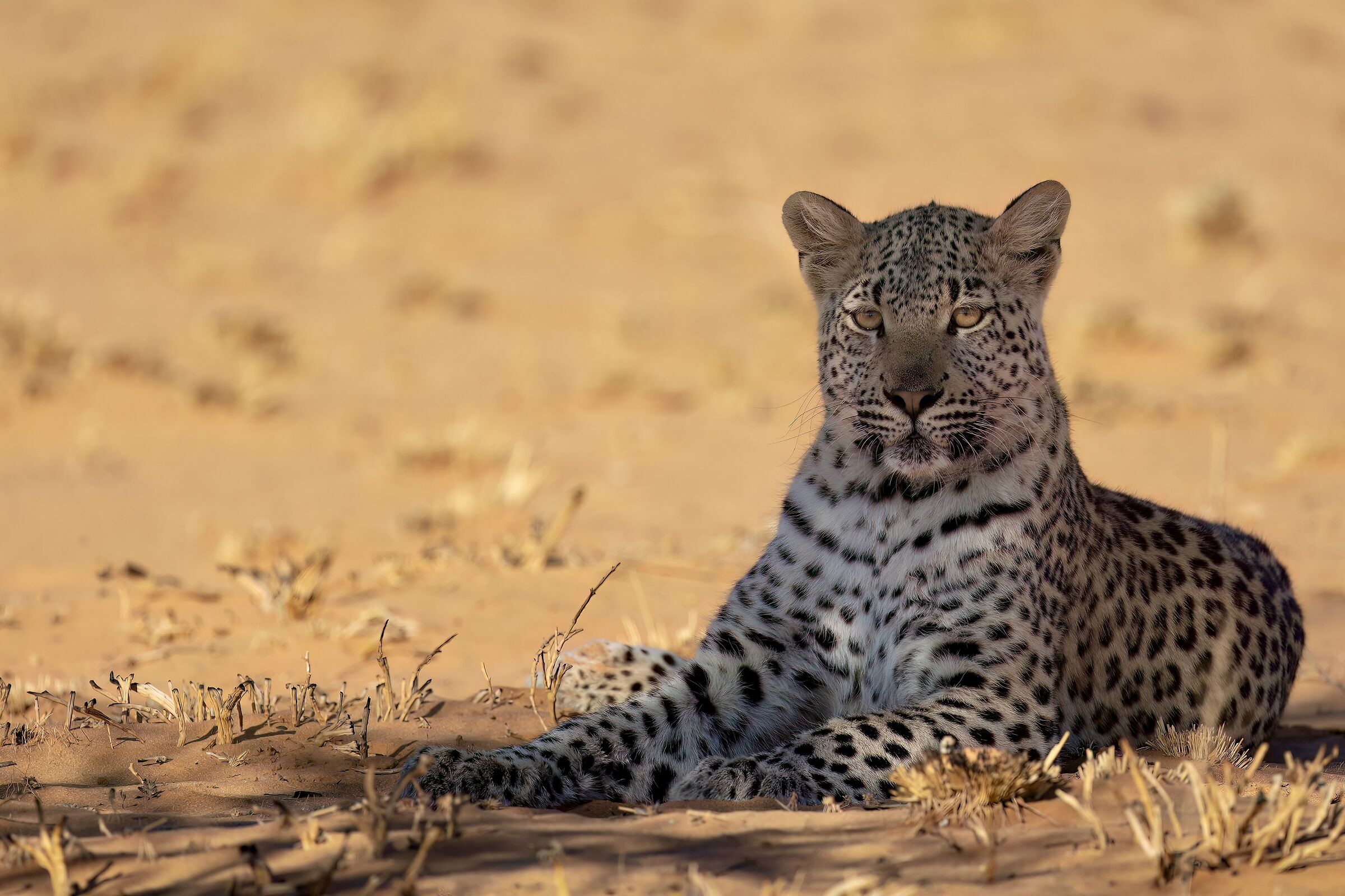 I just want to check you out...