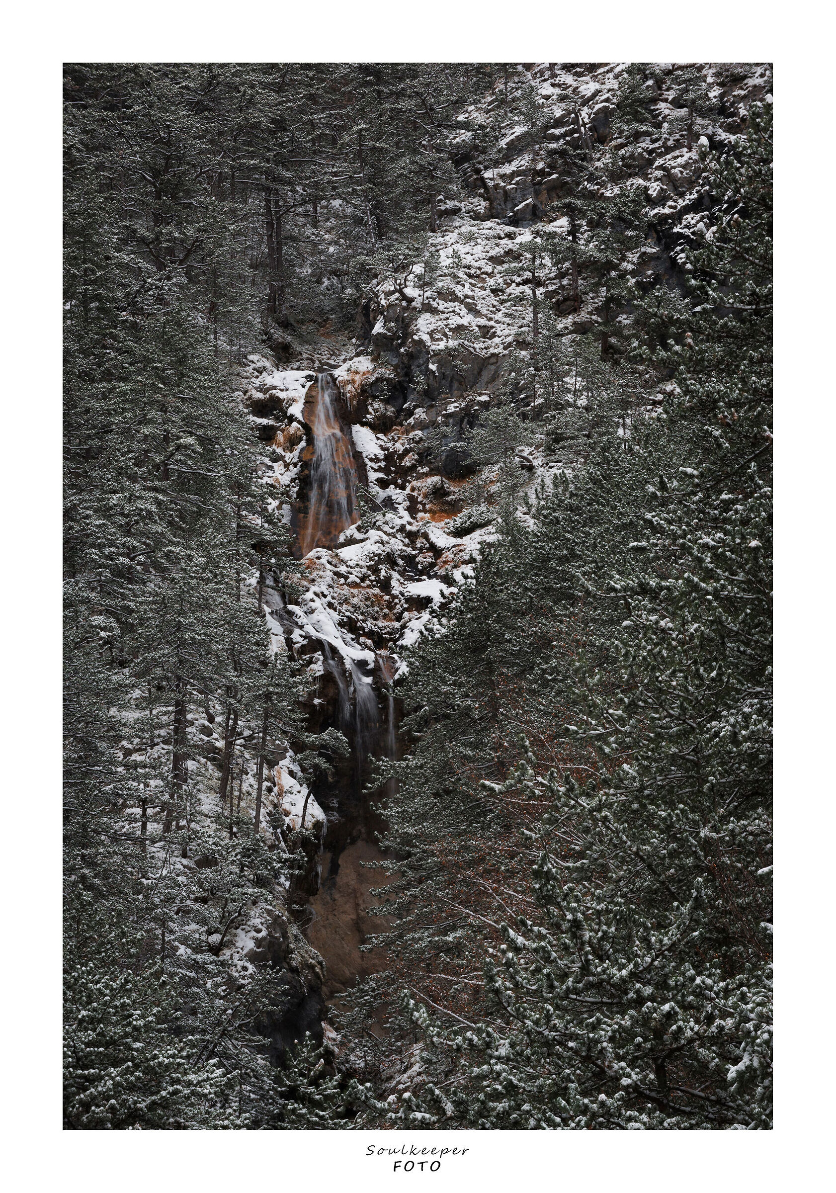 Hidden between the greenery and the snow.