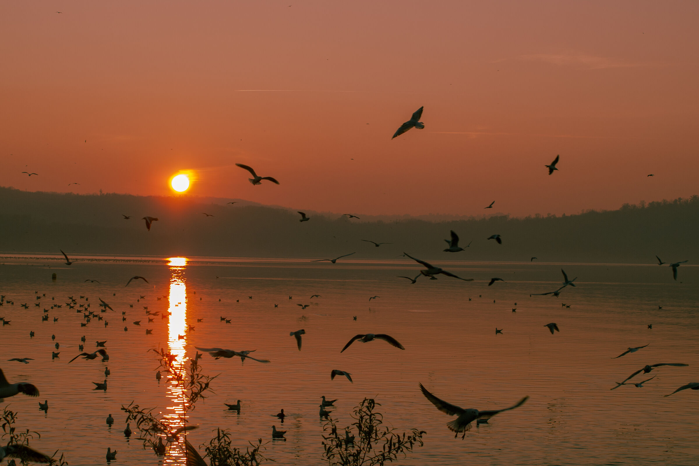 Sunset over the lake