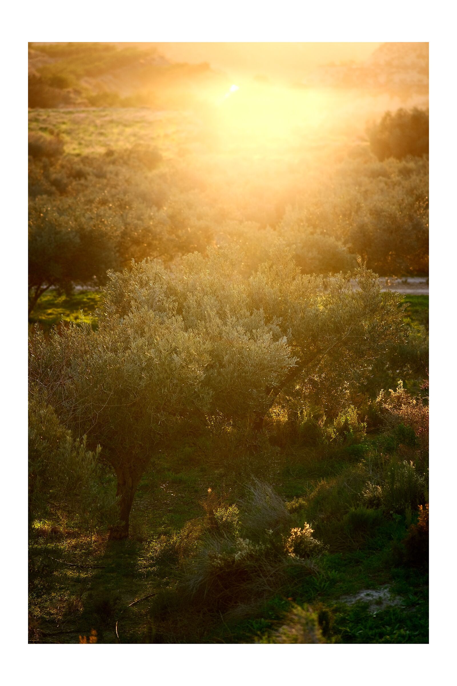 Shorlty before sunset