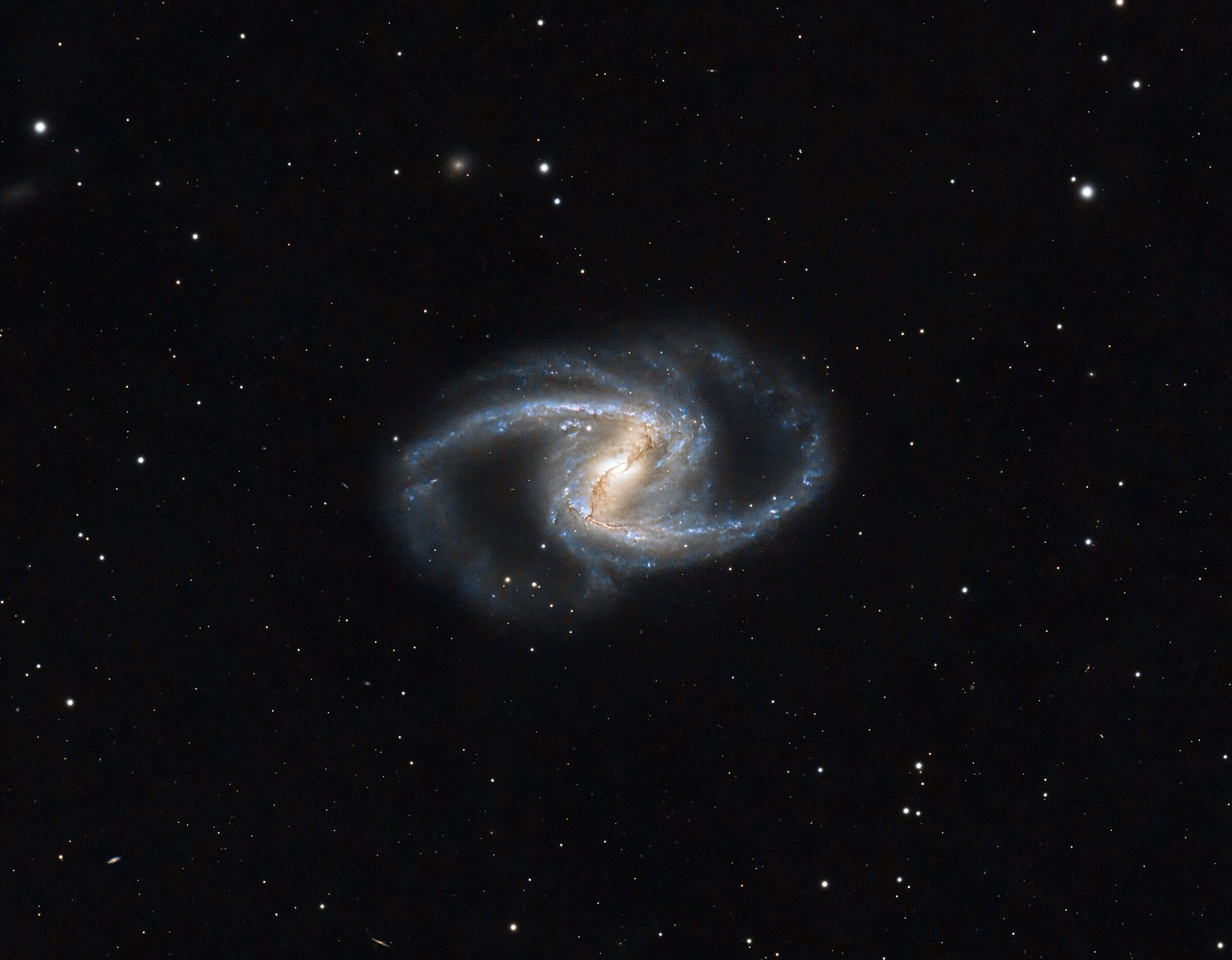 NGC1365