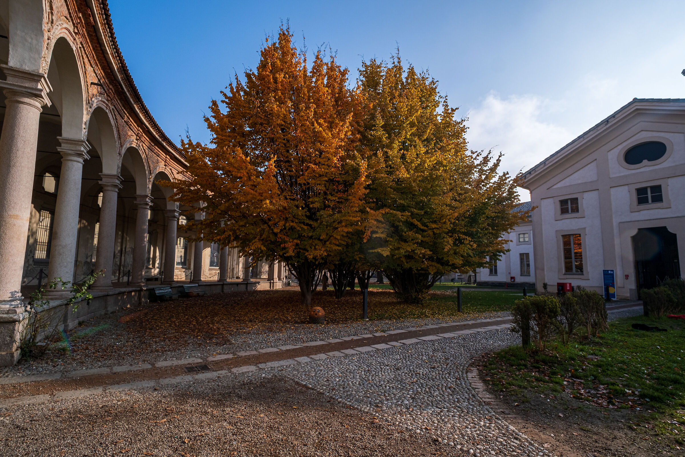 Rotonda della Besana