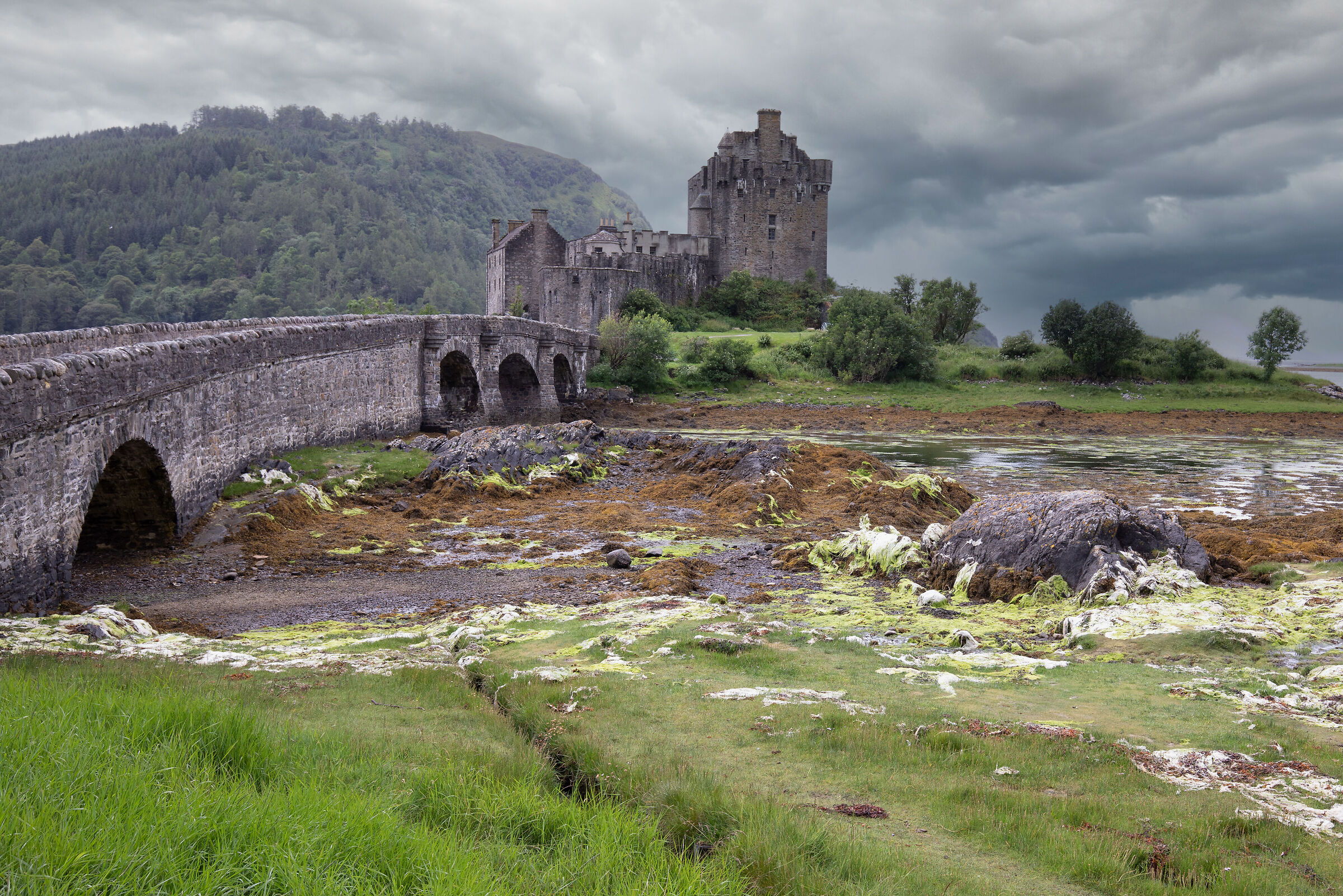 Eilean Dolan Castle