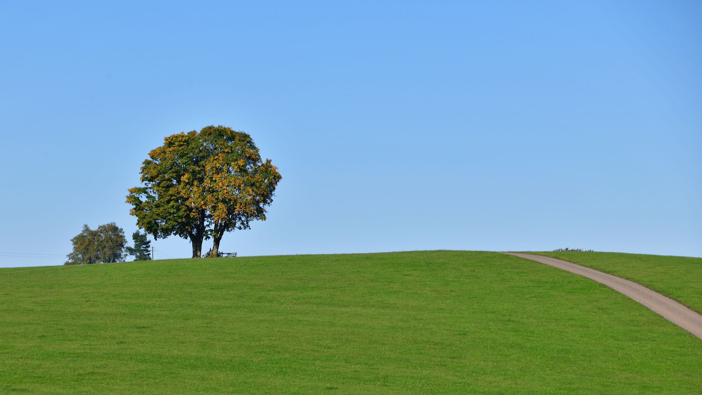 Path to Nowhere