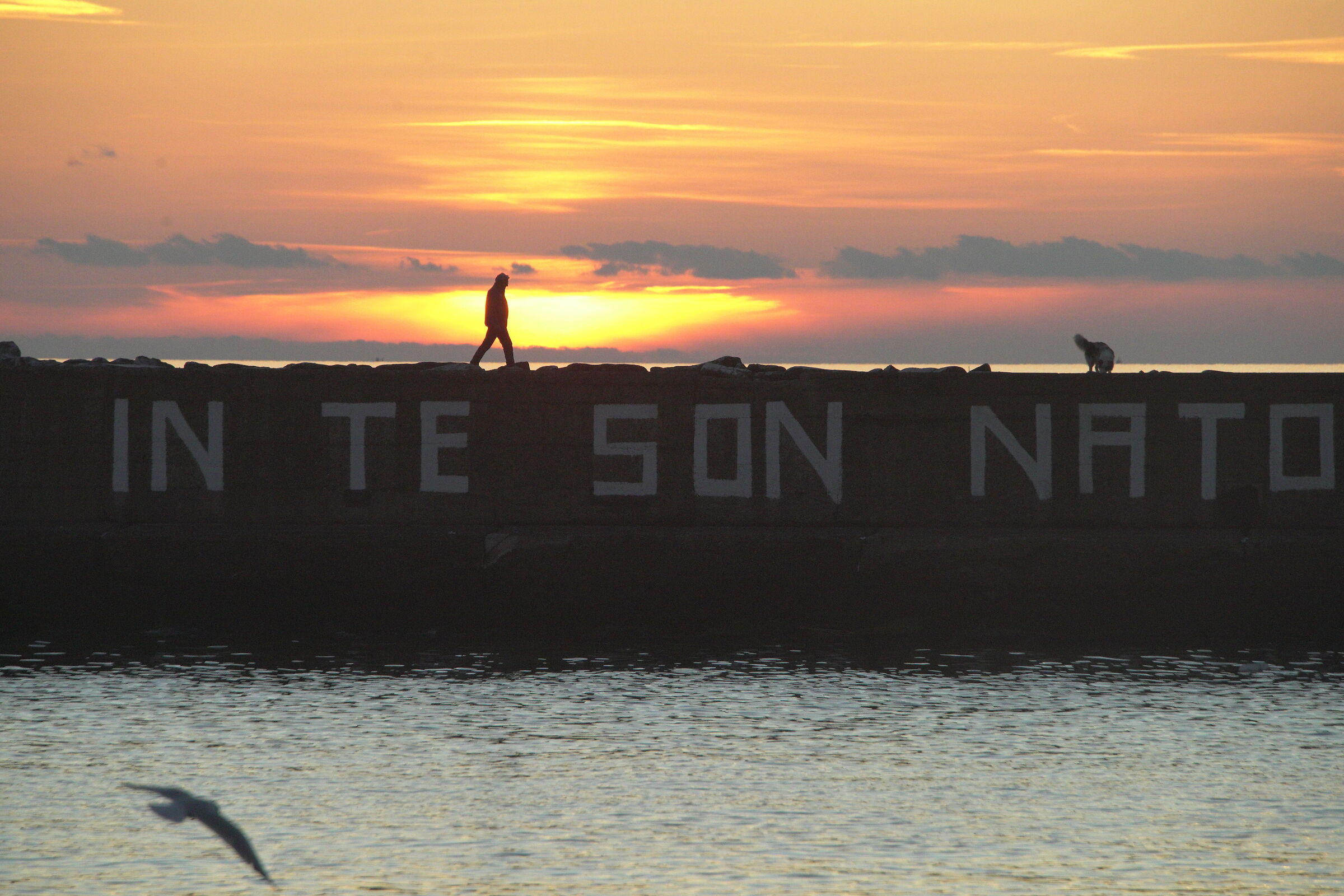 In te son nato..fotograficamente