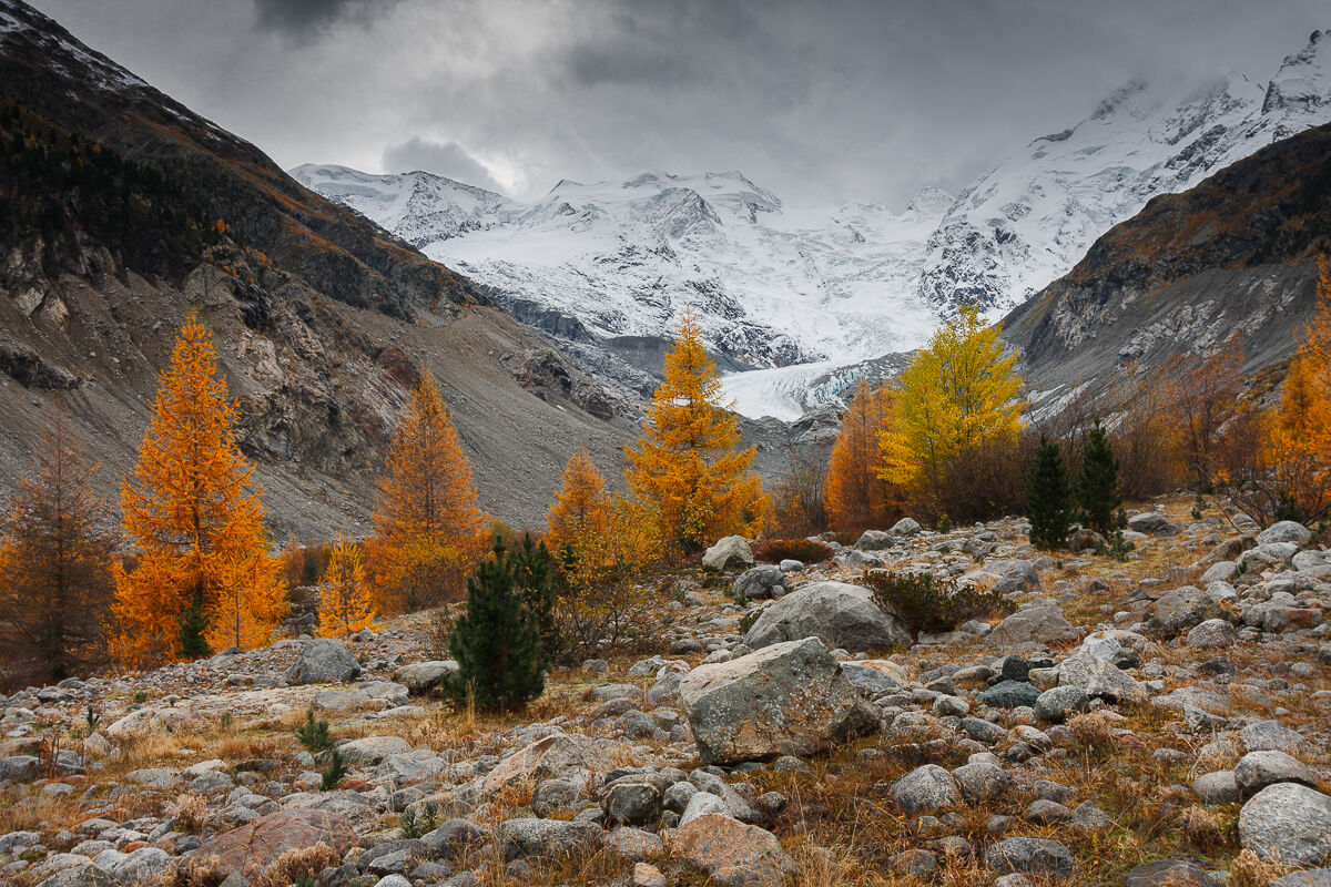 The magic of Bernina!