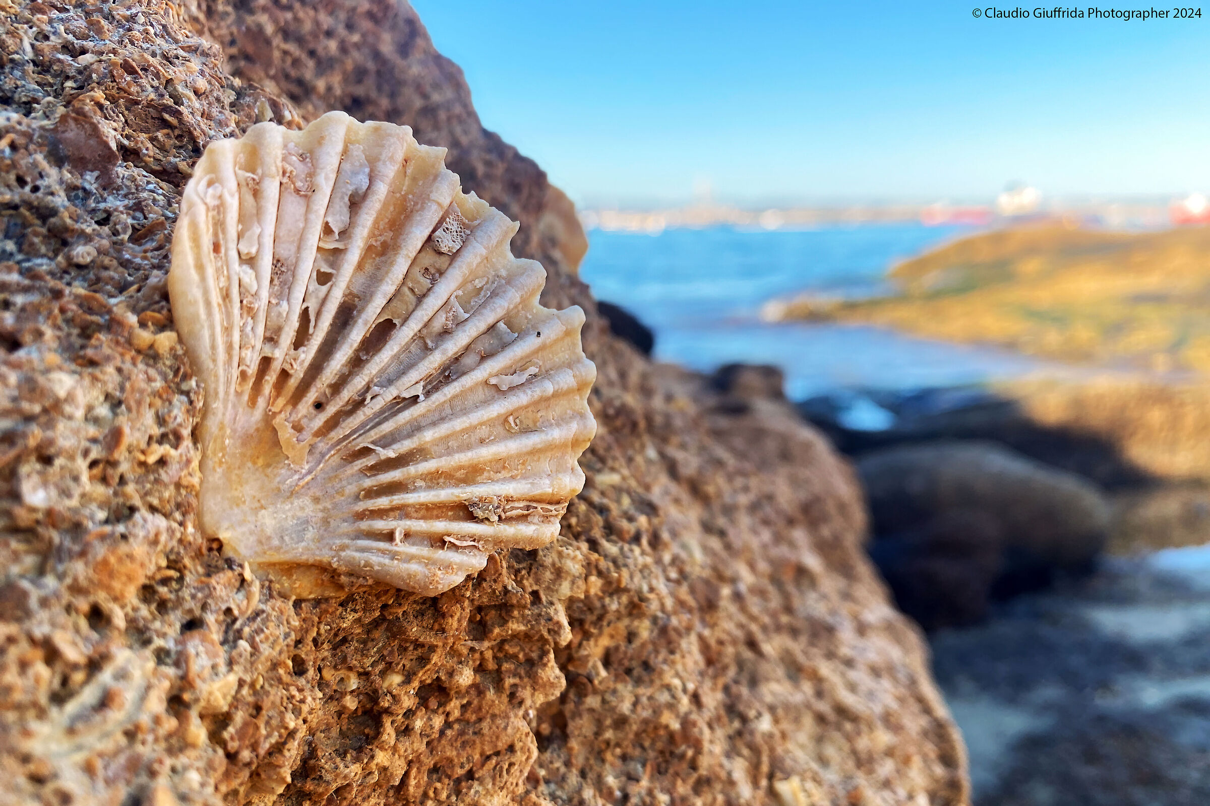 Remains of an ancient sea.
