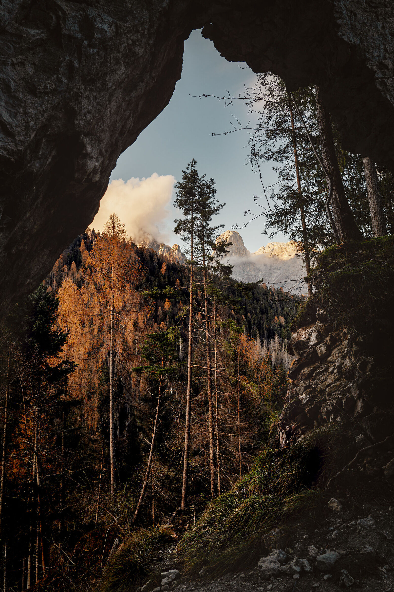 autumn frame