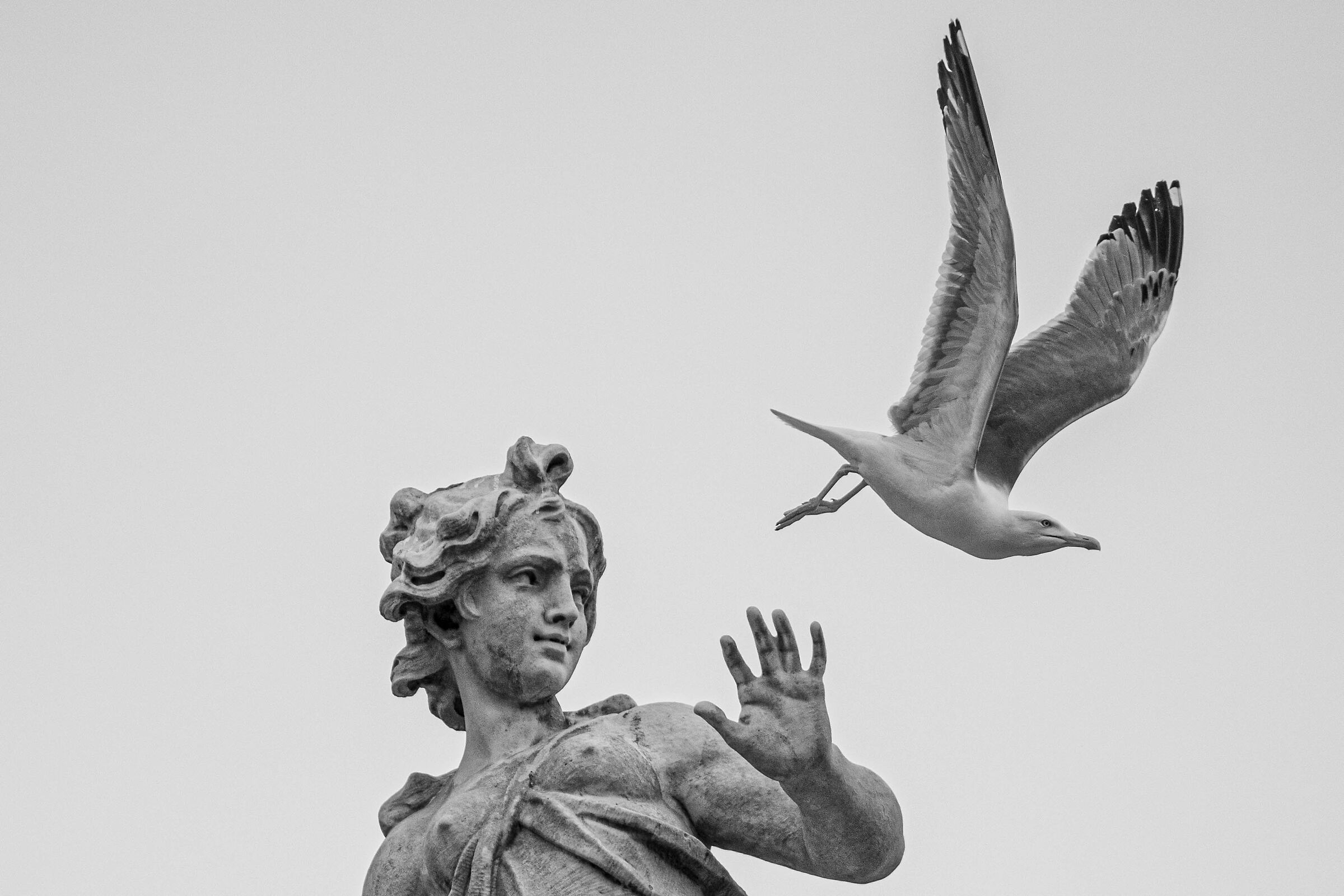 La statua
