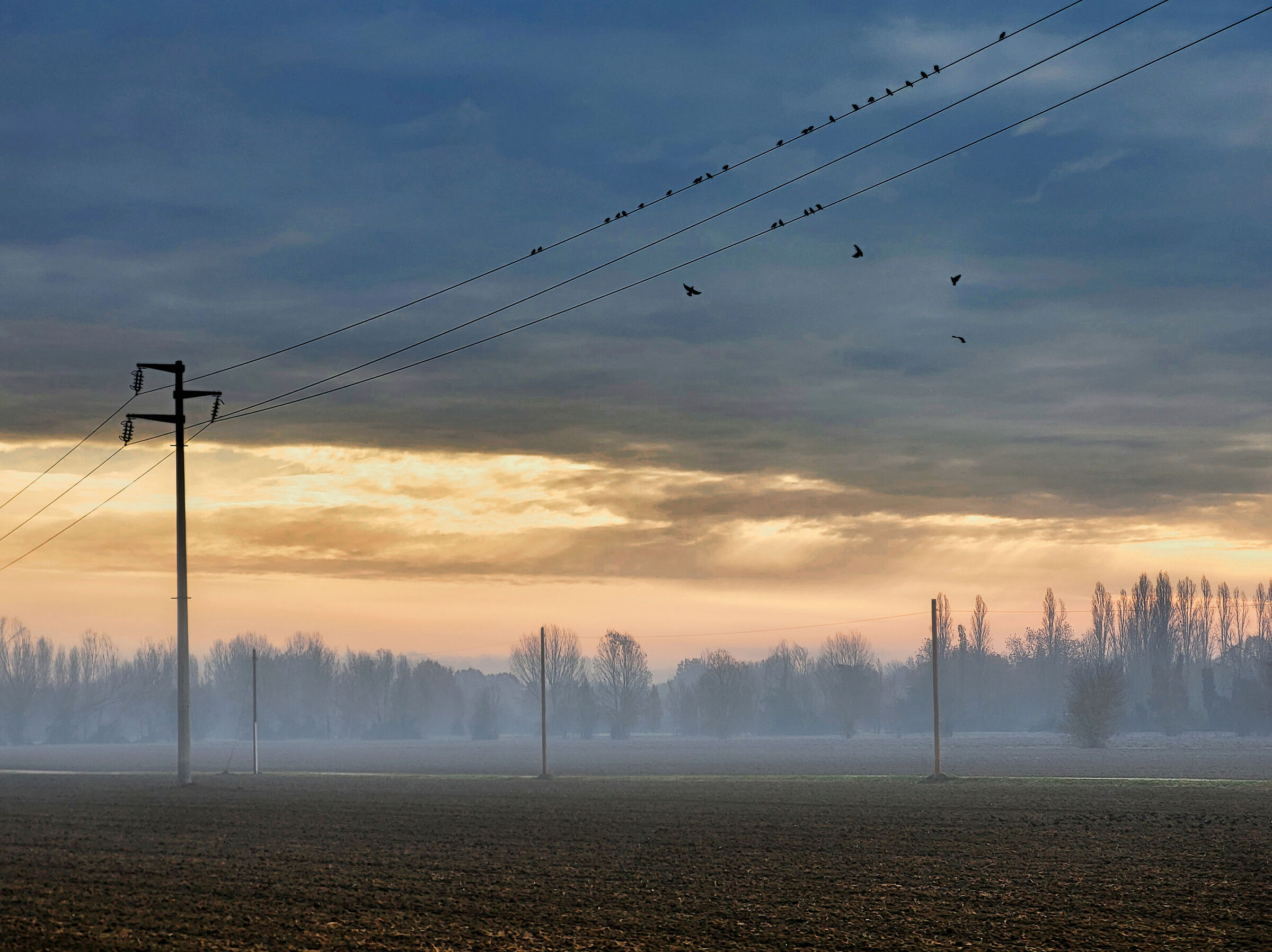 Ferrara countryside