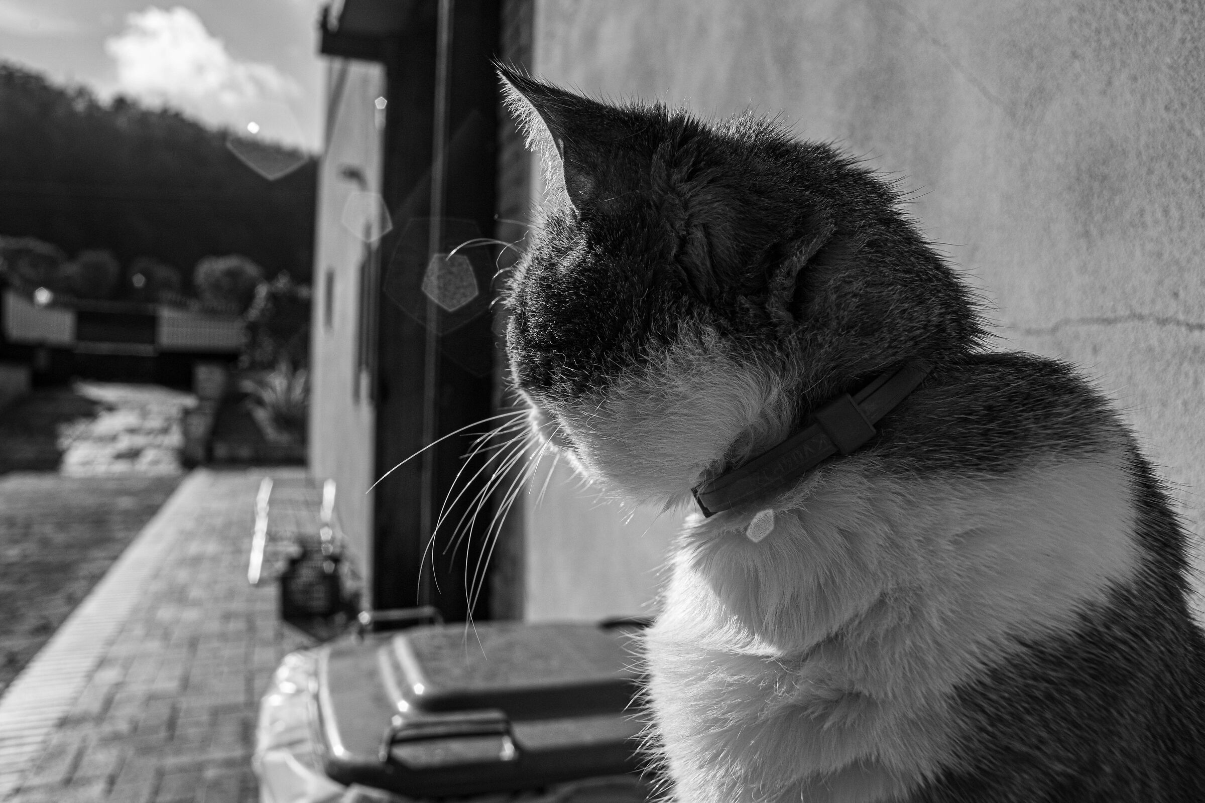 Leeloo