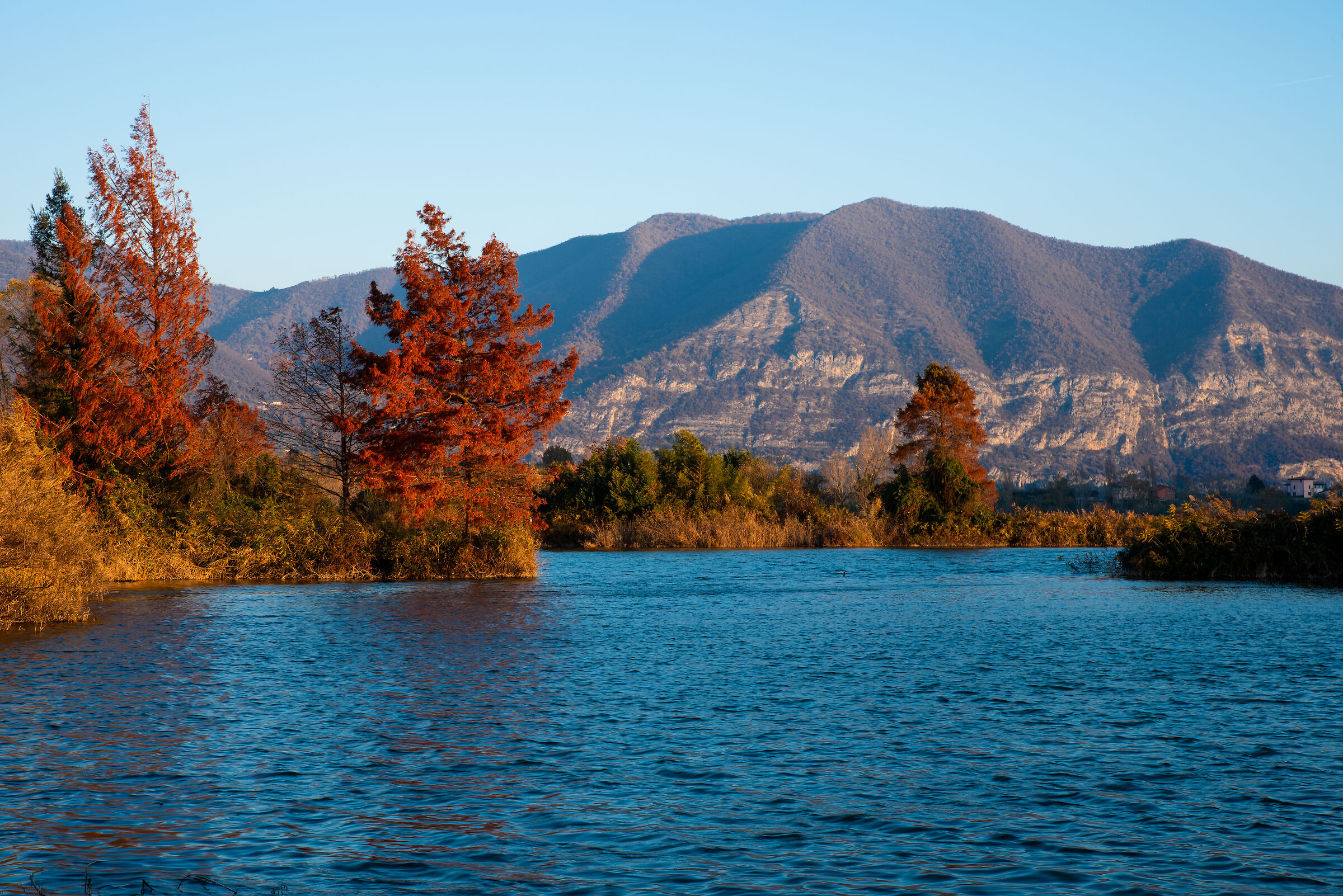 Iseo peat bogs
