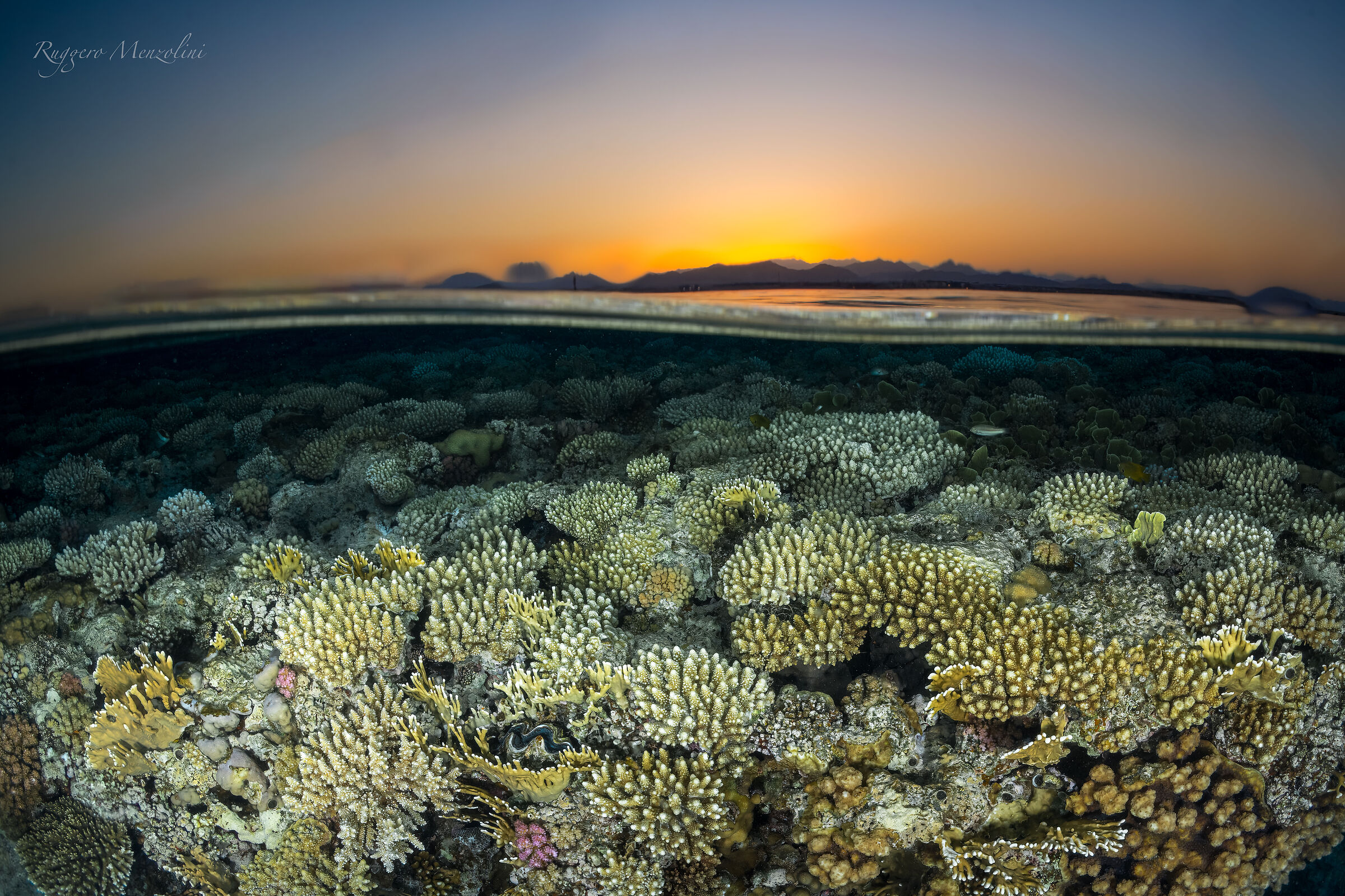 Sunset and corals