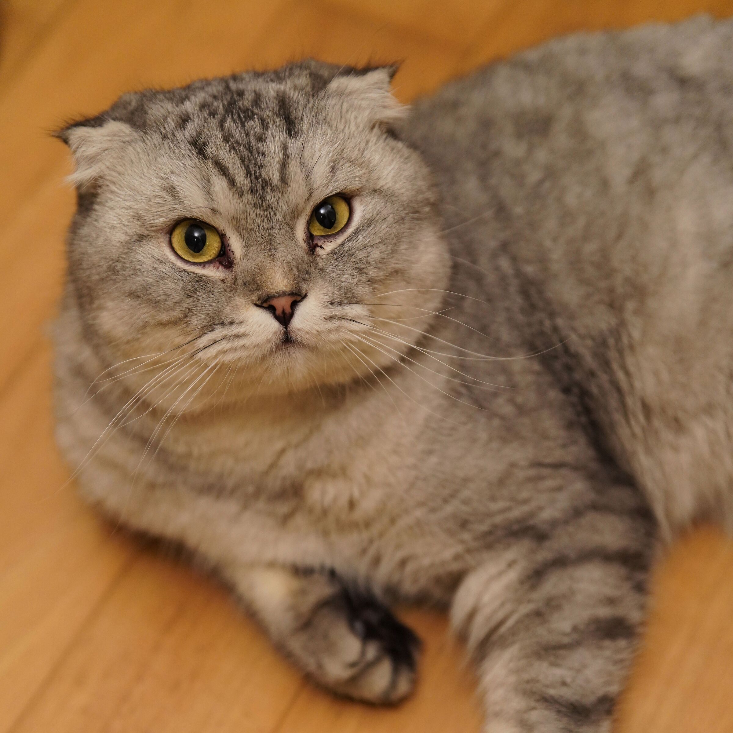 Mercoledì 27 novembre 2024, 21:13:32